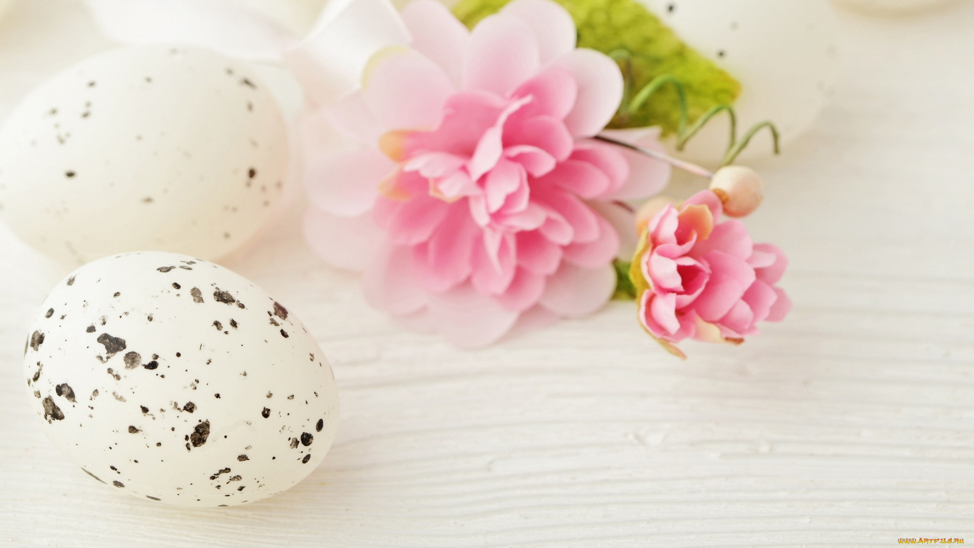 праздничные, пасха, яйцо, цветок