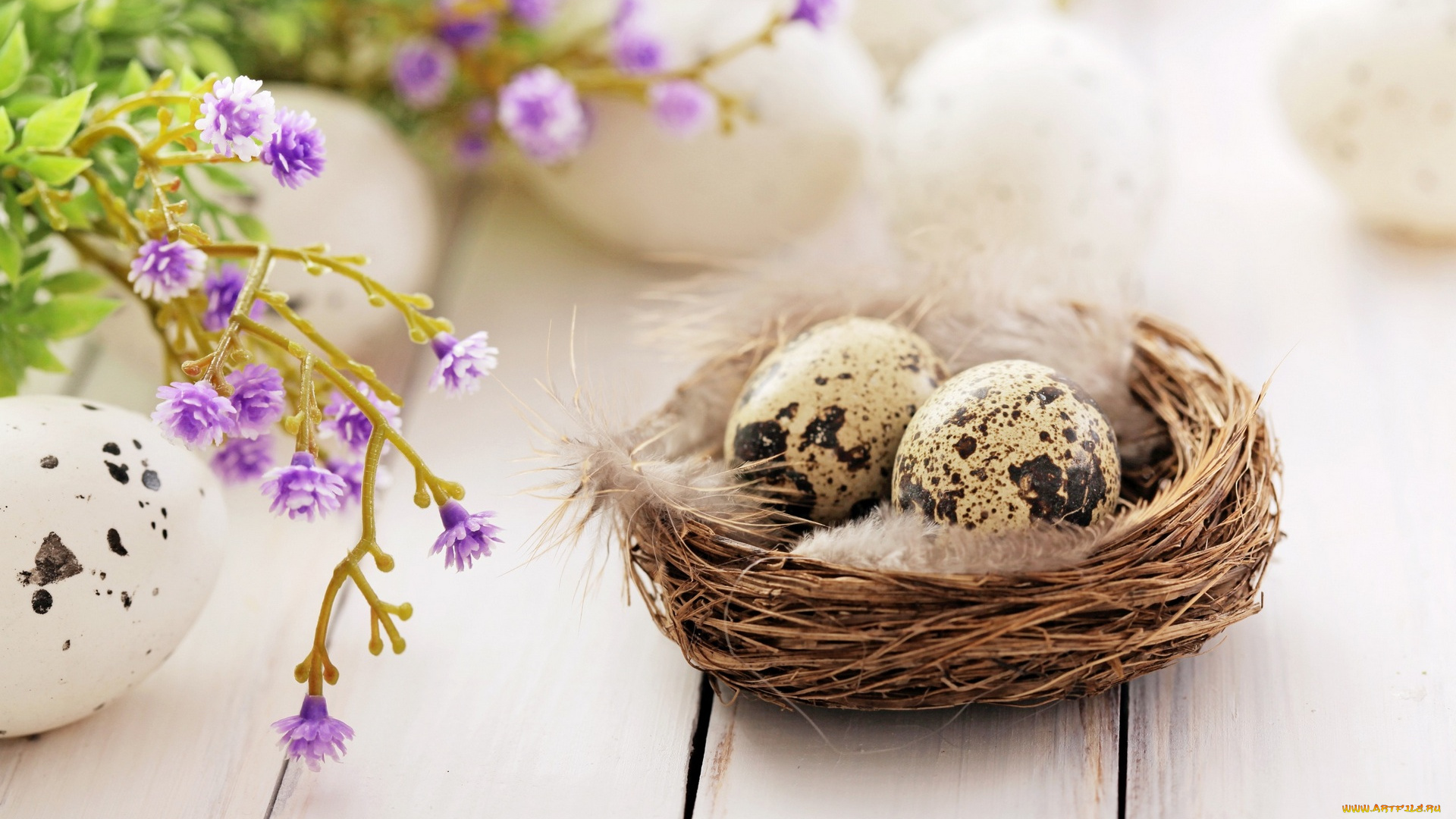 праздничные, пасха, яйцо, цветы, гнездо