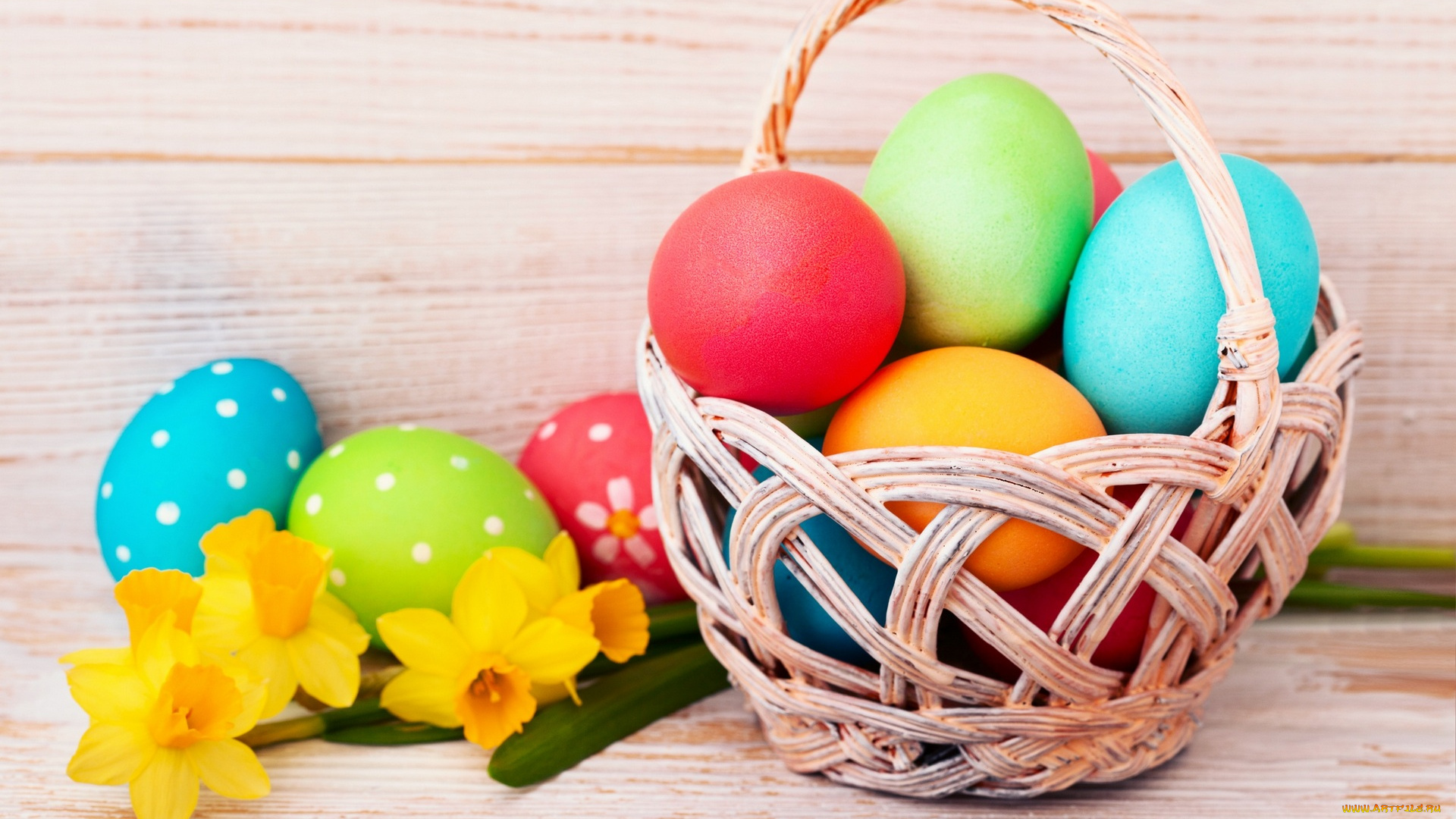 праздничные, пасха, яйцо, нарциссы, корзинка