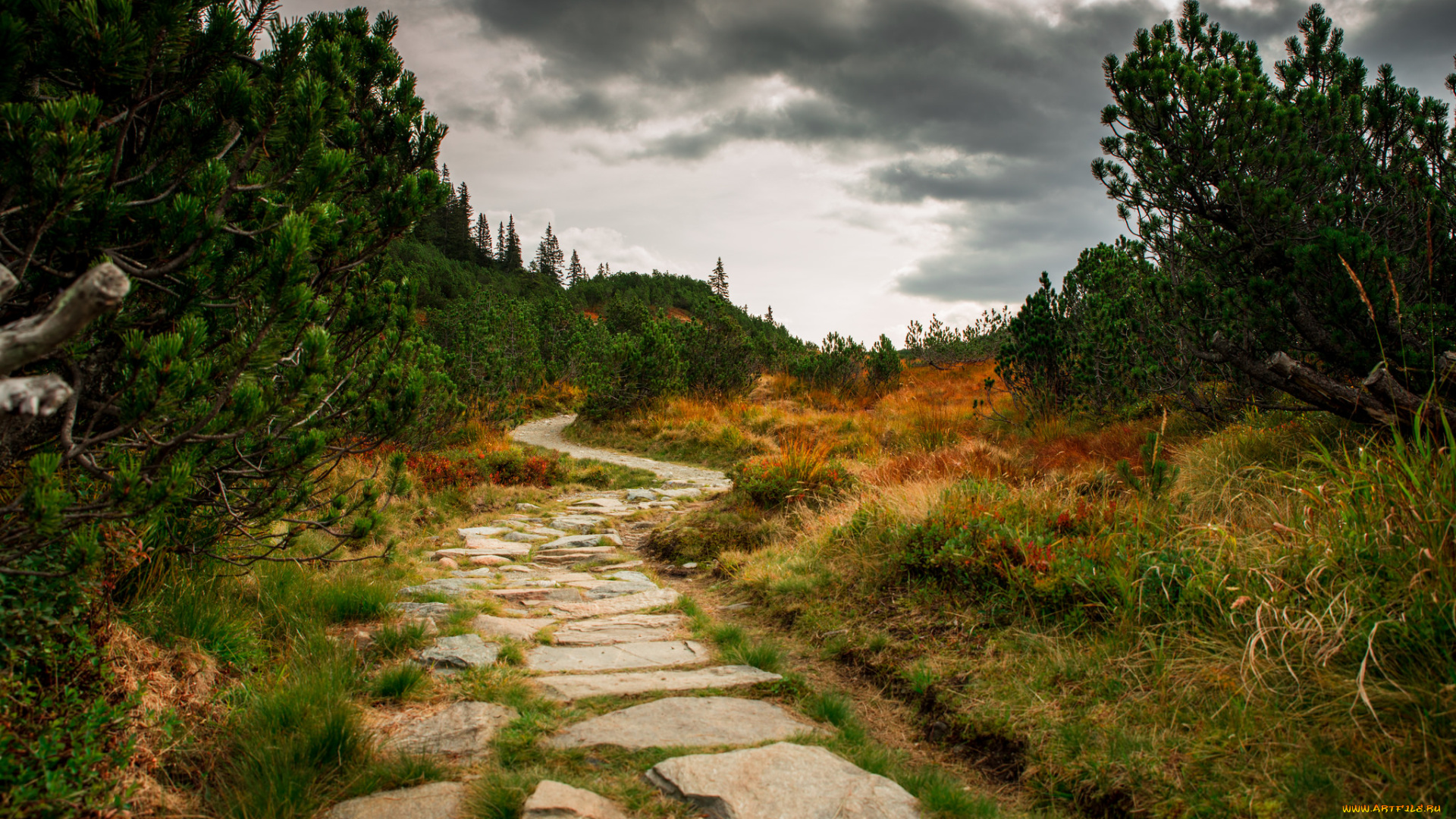 природа, дороги, простор