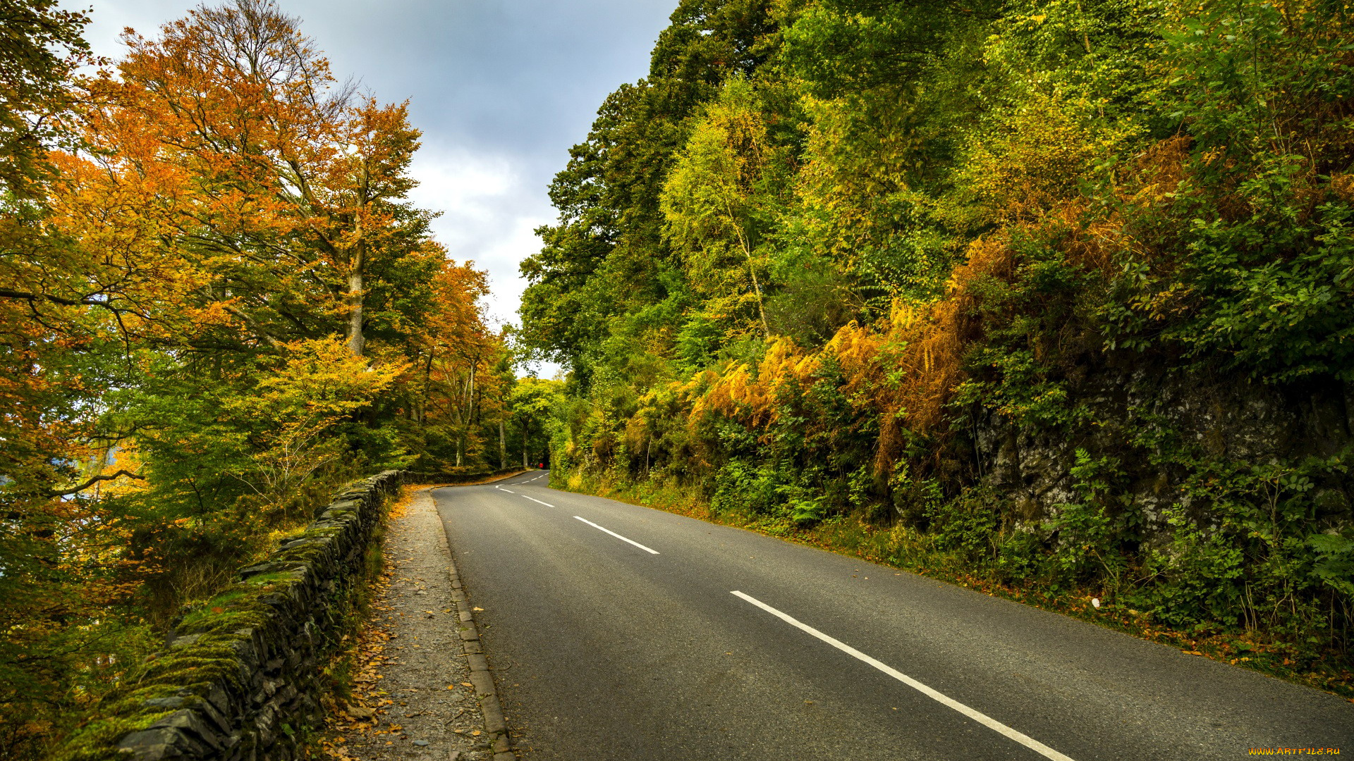 природа, дороги, шоссе, осень