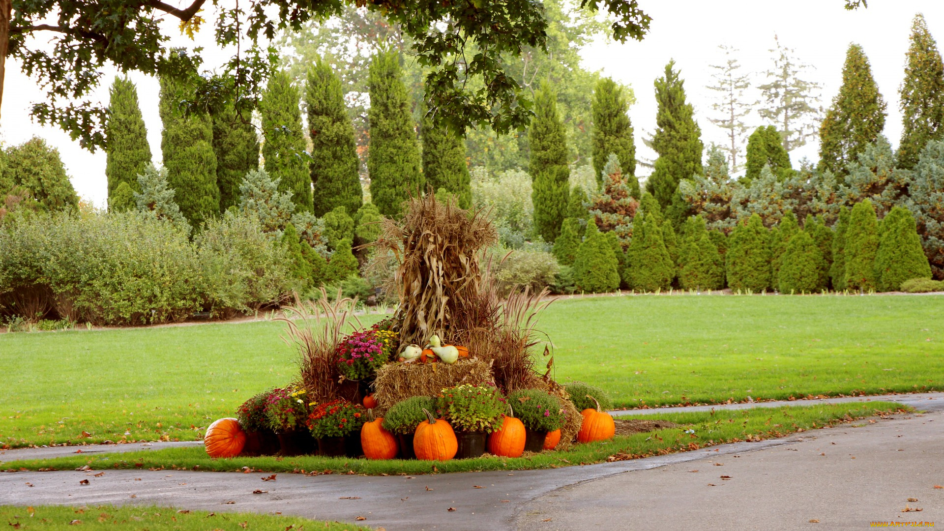 природа, парк, композиция, аллея, деревья, тыква, осень