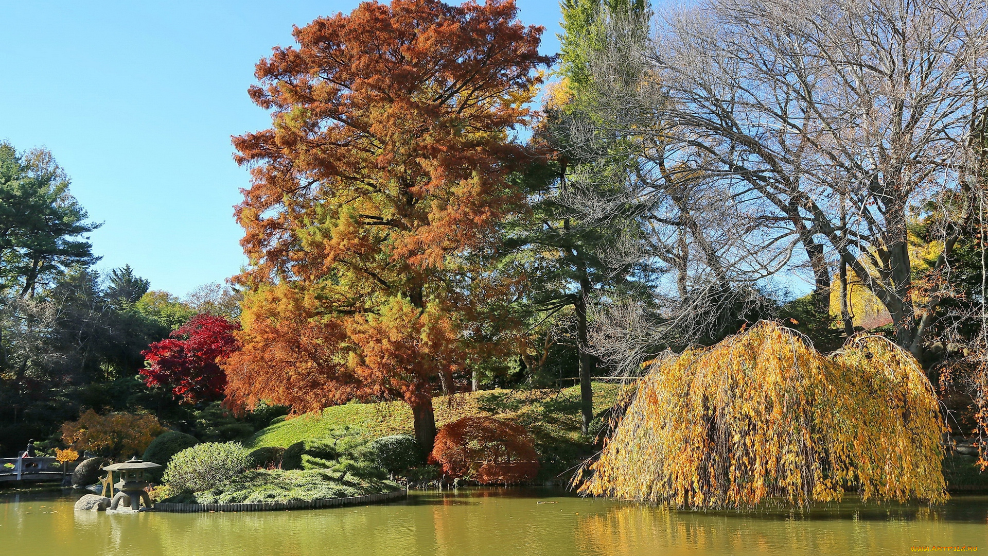 природа, парк, водоем, деревья, скульптура