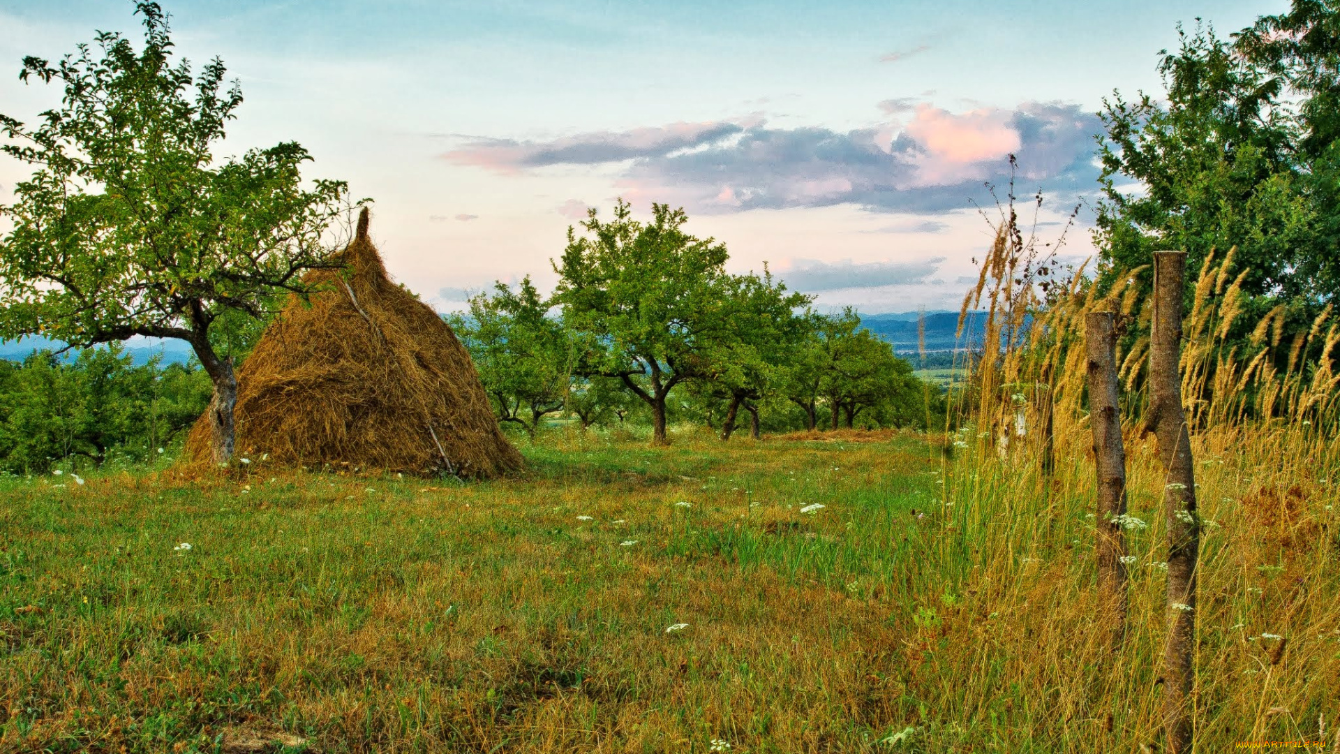 природа, пейзажи, простор