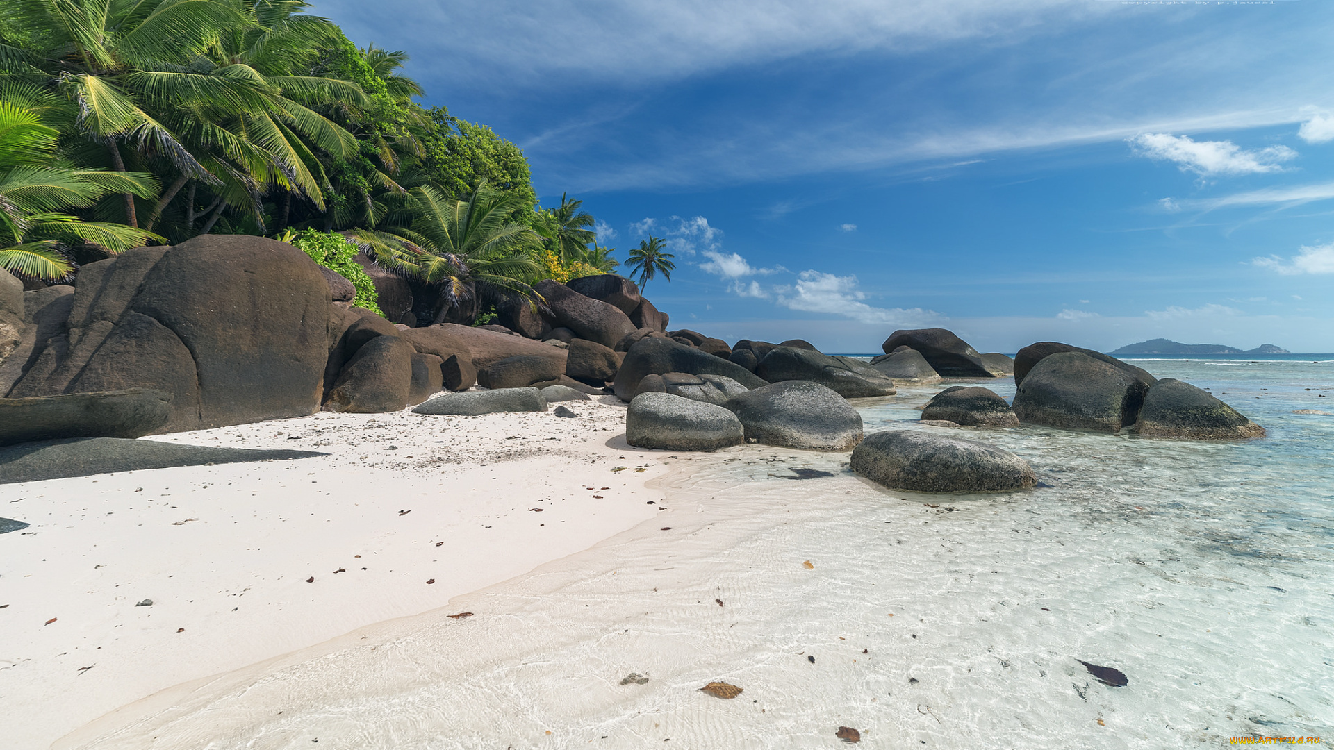 природа, побережье, море, песок, камни, пальмы