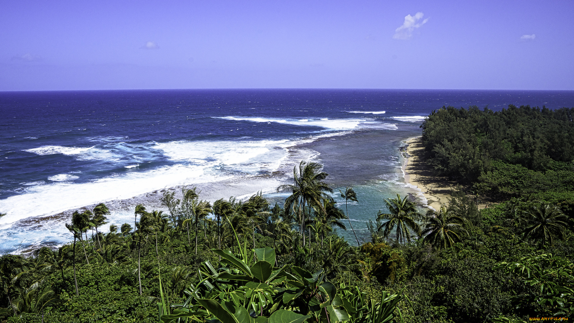 природа, побережье, простор