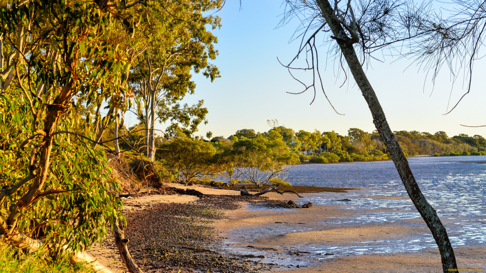 природа, побережье, простор