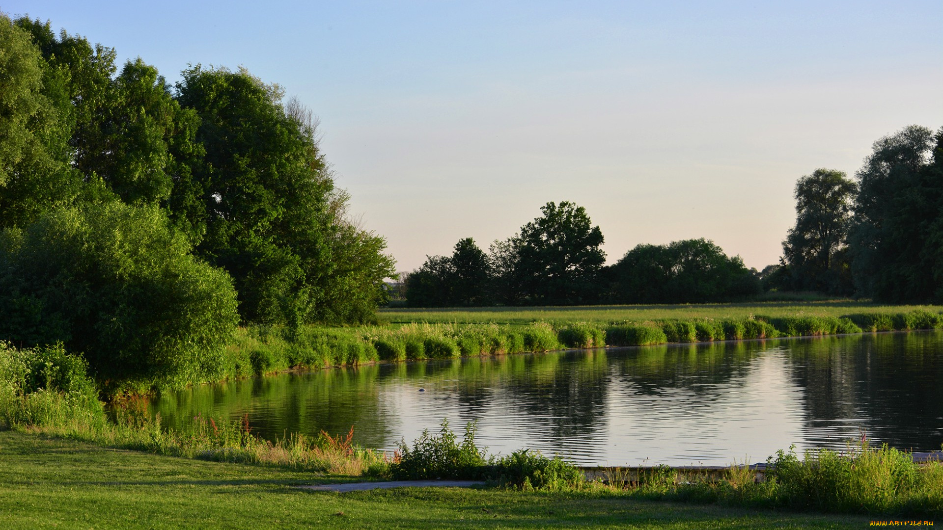 природа, реки, озера, озеро, деревья, лето