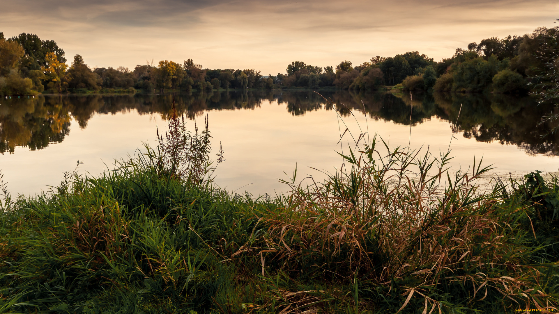 природа, реки, озера, простор