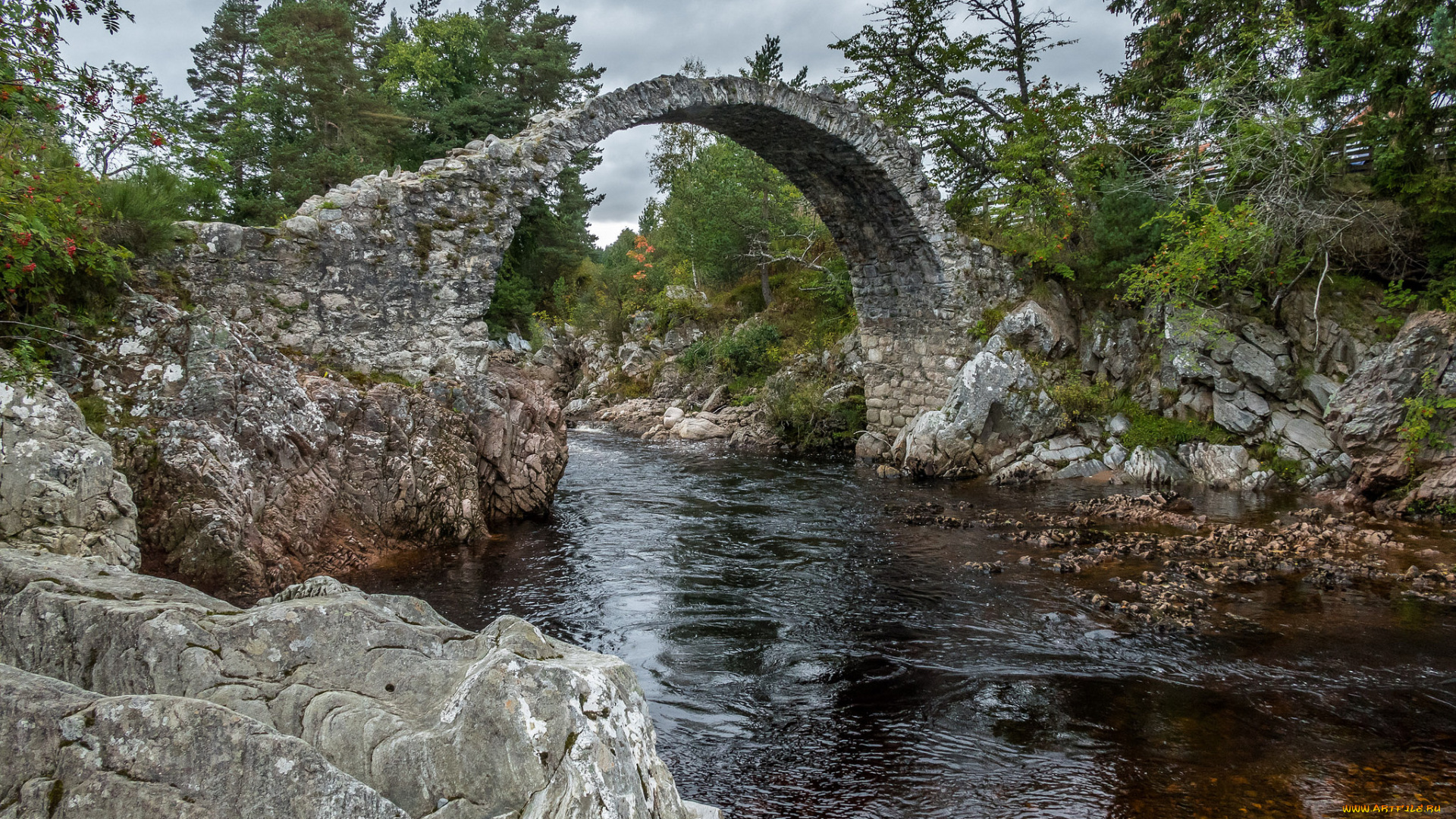 природа, реки, озера, простор