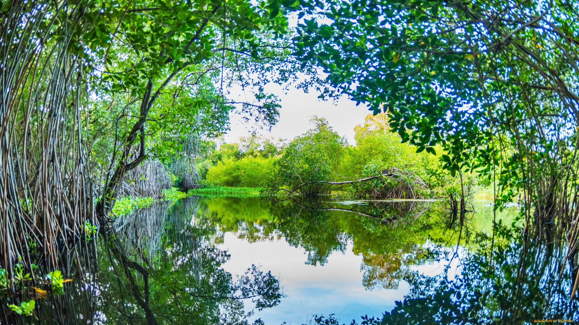 природа, реки, озера, простор