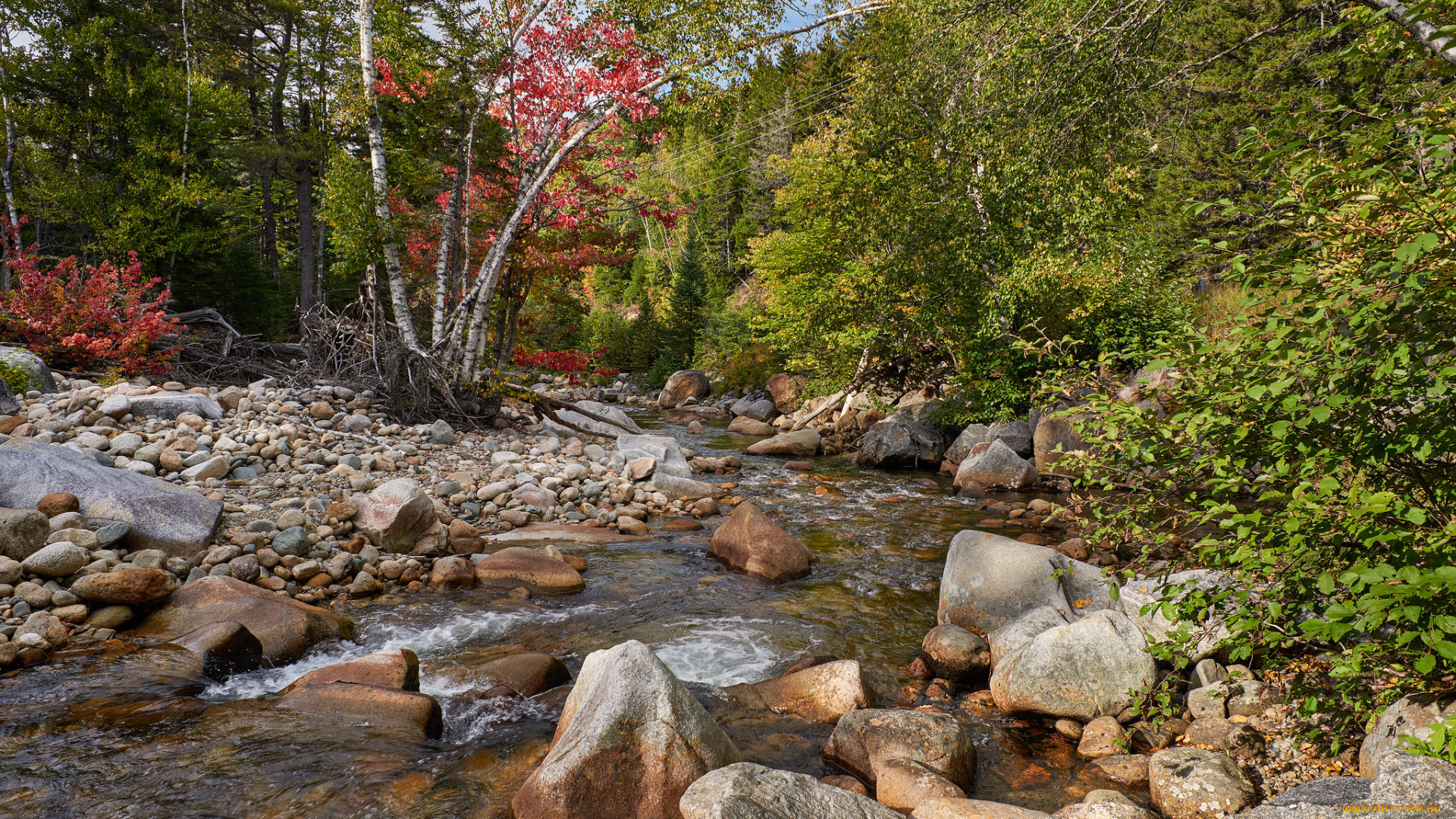 природа, реки, озера, простор