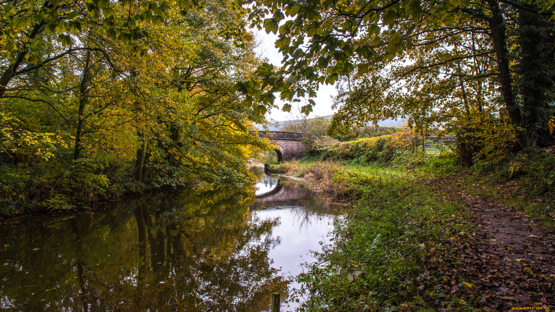 природа, реки, озера, простор