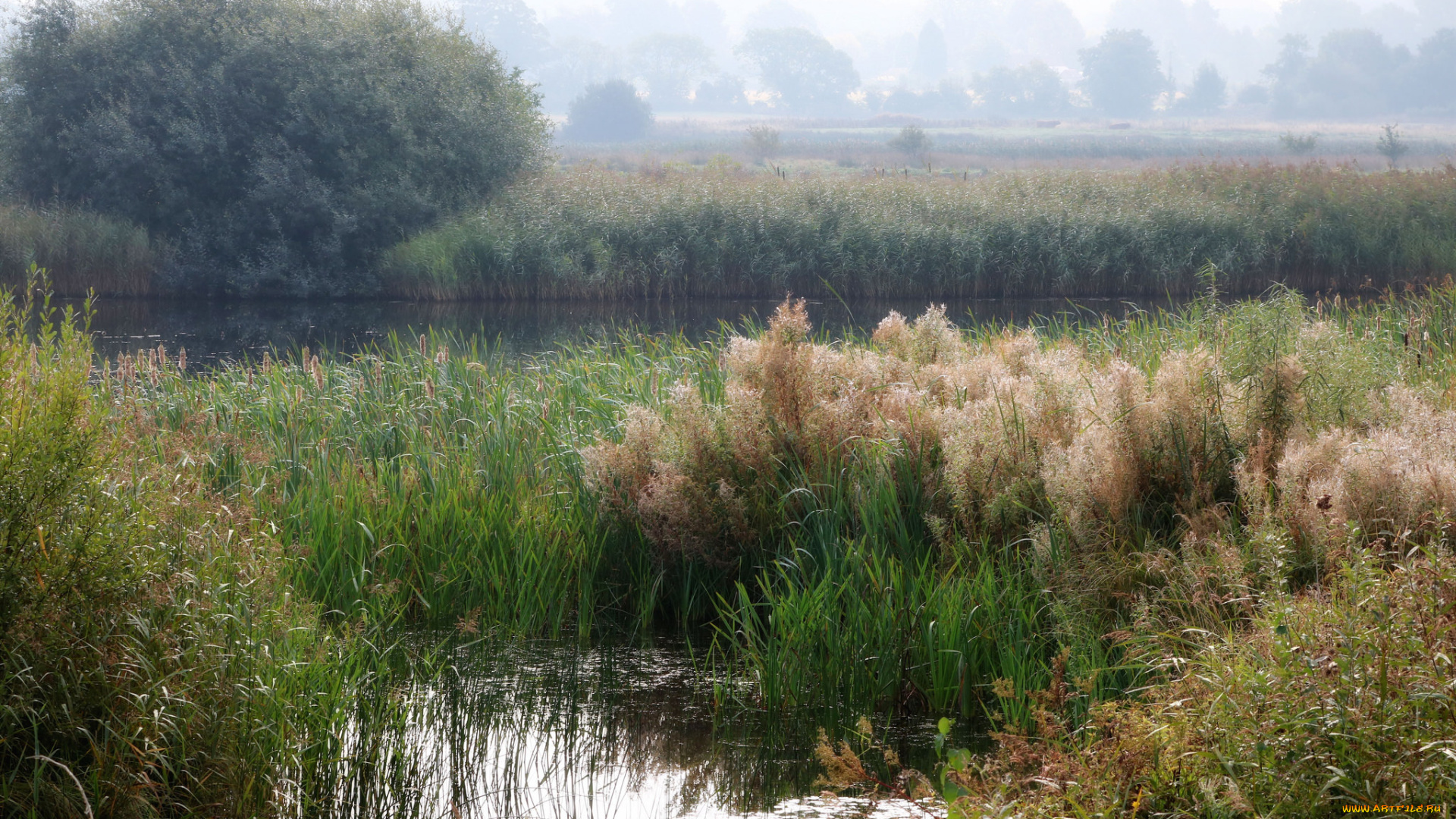 природа, реки, озера, простор