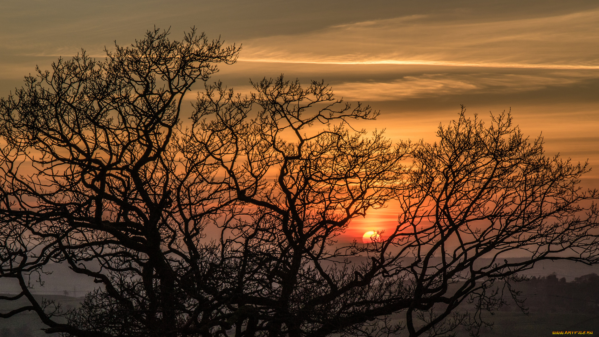 природа, восходы, закаты, простор