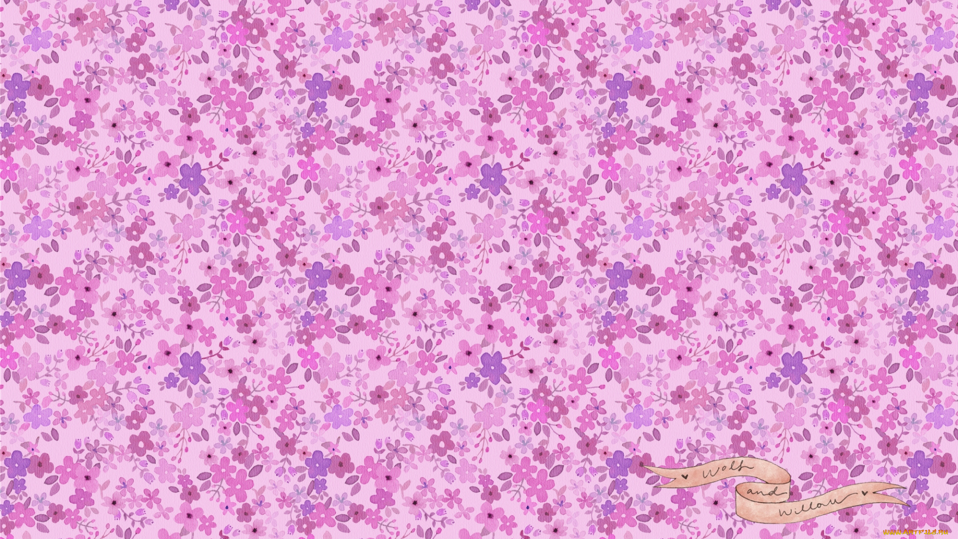 векторная, графика, цветы, , flowers, цветы, фон