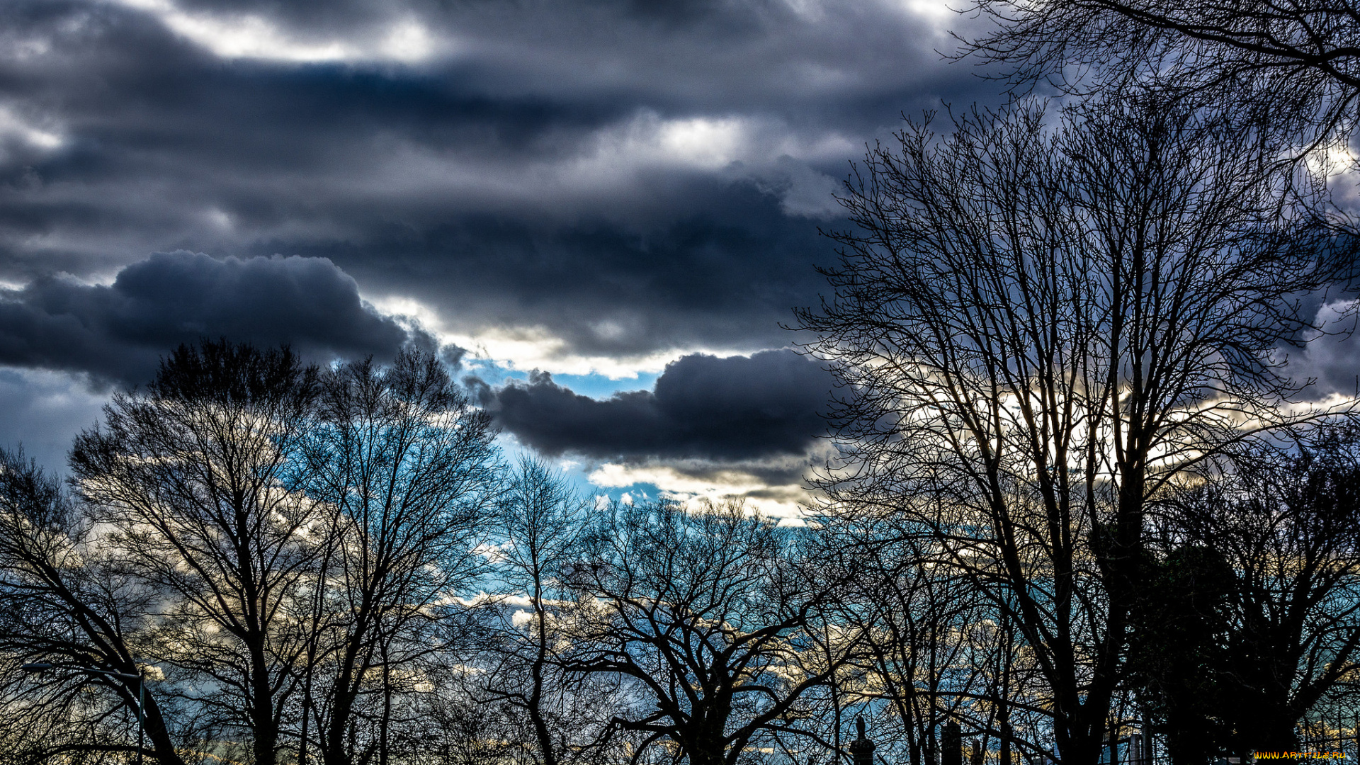 животные, медведи, медведь, вода, брызги