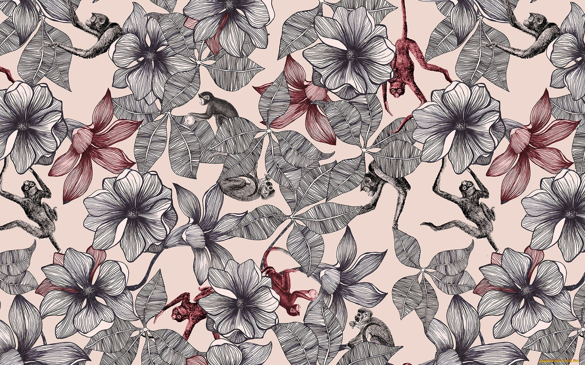 векторная, графика, цветы, , flowers, фон, цветы