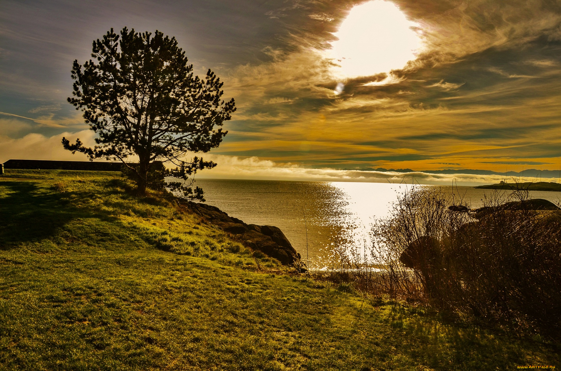 природа, реки, озера, дерево, камни, трава, водоем, облака