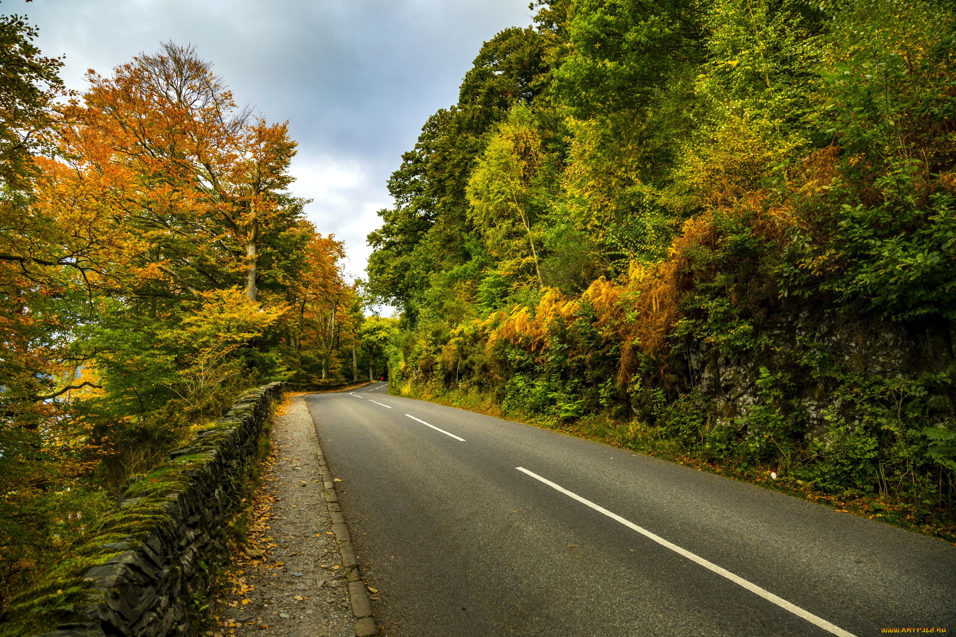природа, дороги, шоссе, осень