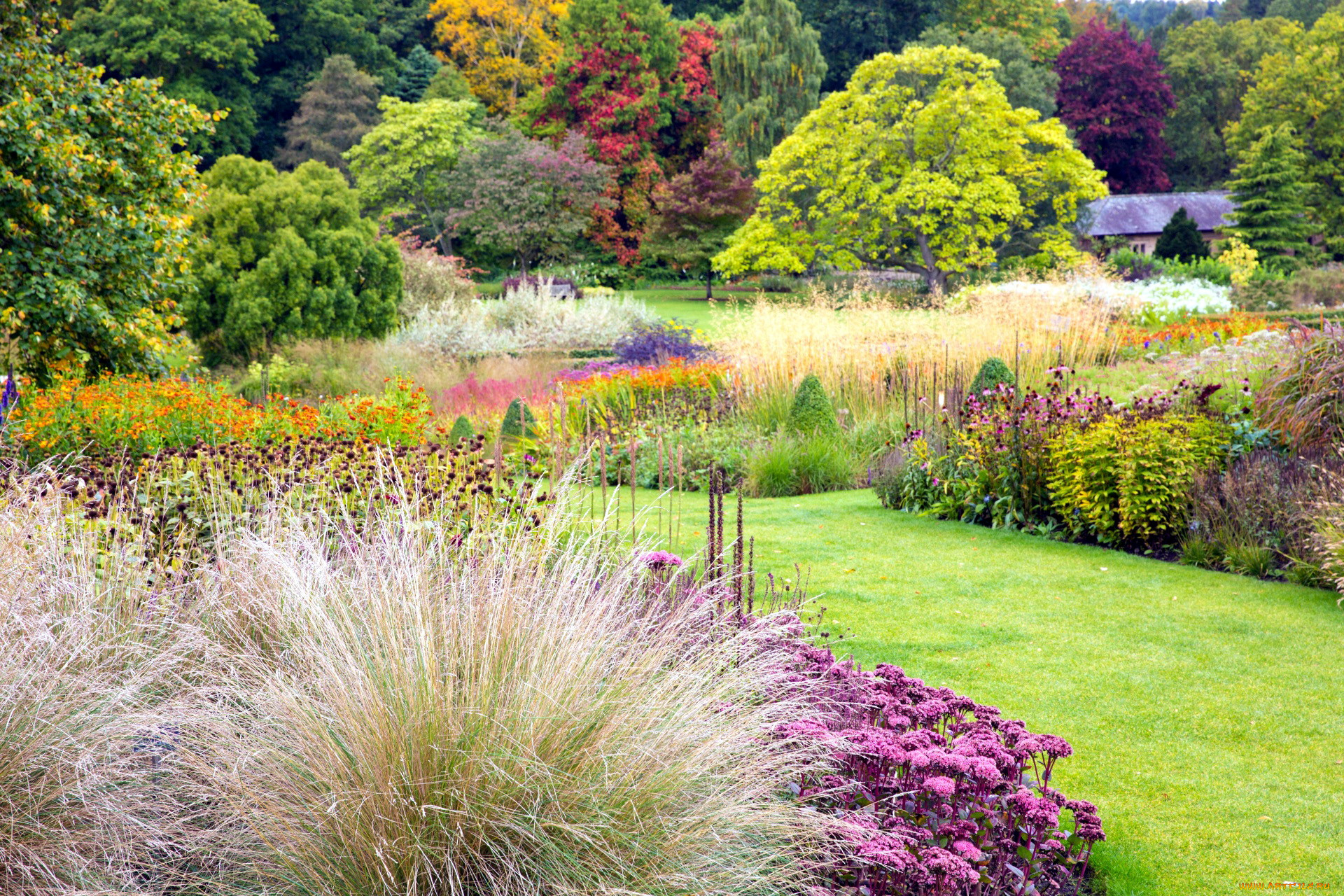 природа, парк, деревья, кусты, лужайка