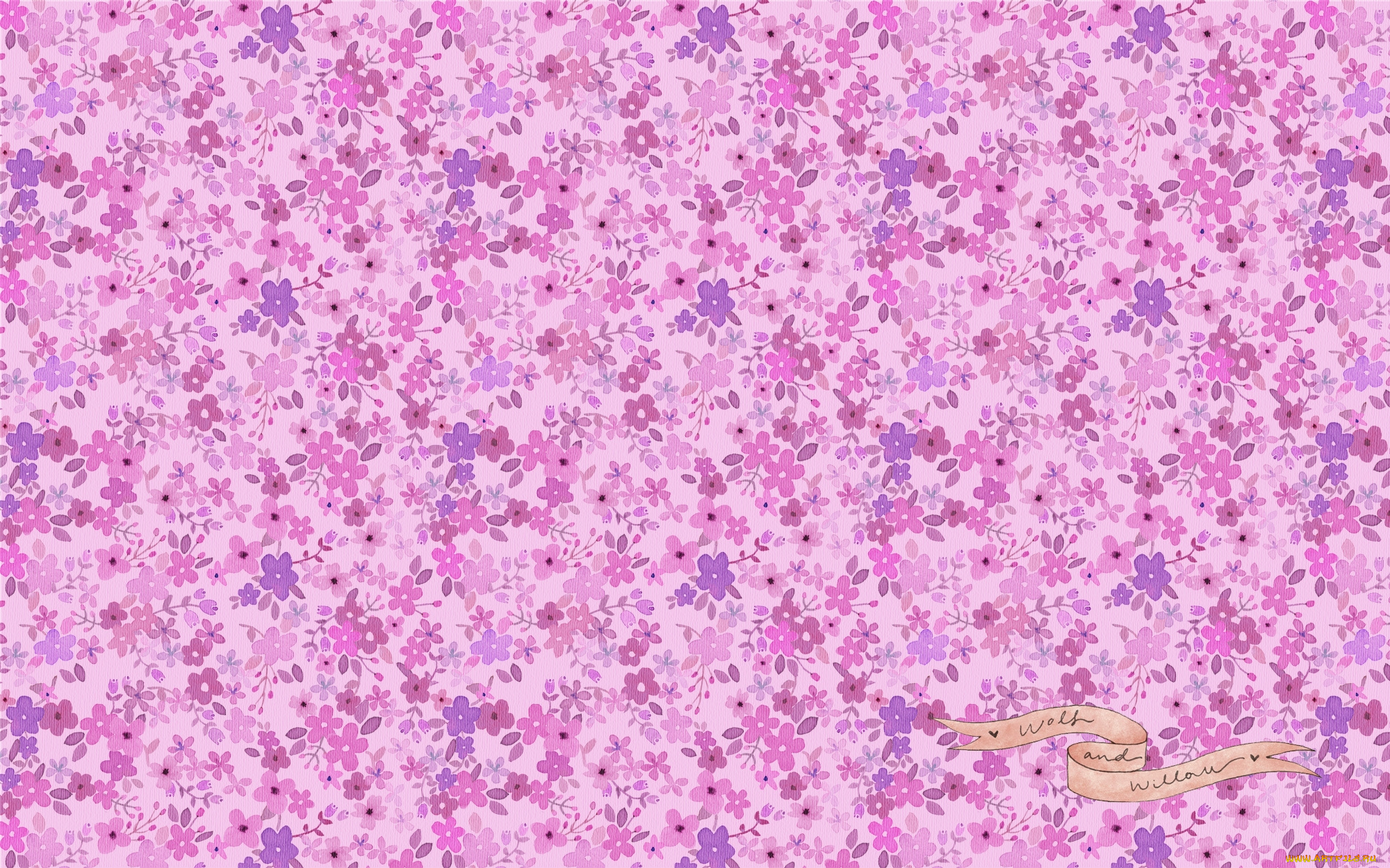 векторная, графика, цветы, , flowers, цветы, фон