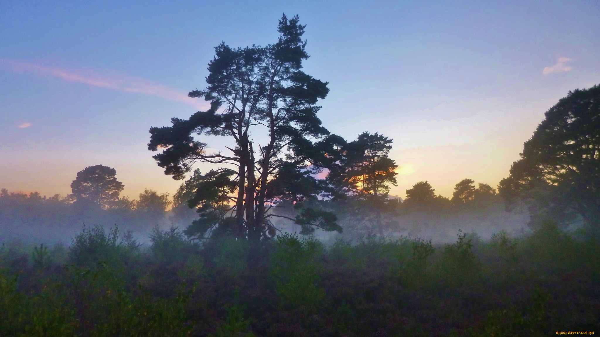 природа, восходы, закаты, простор