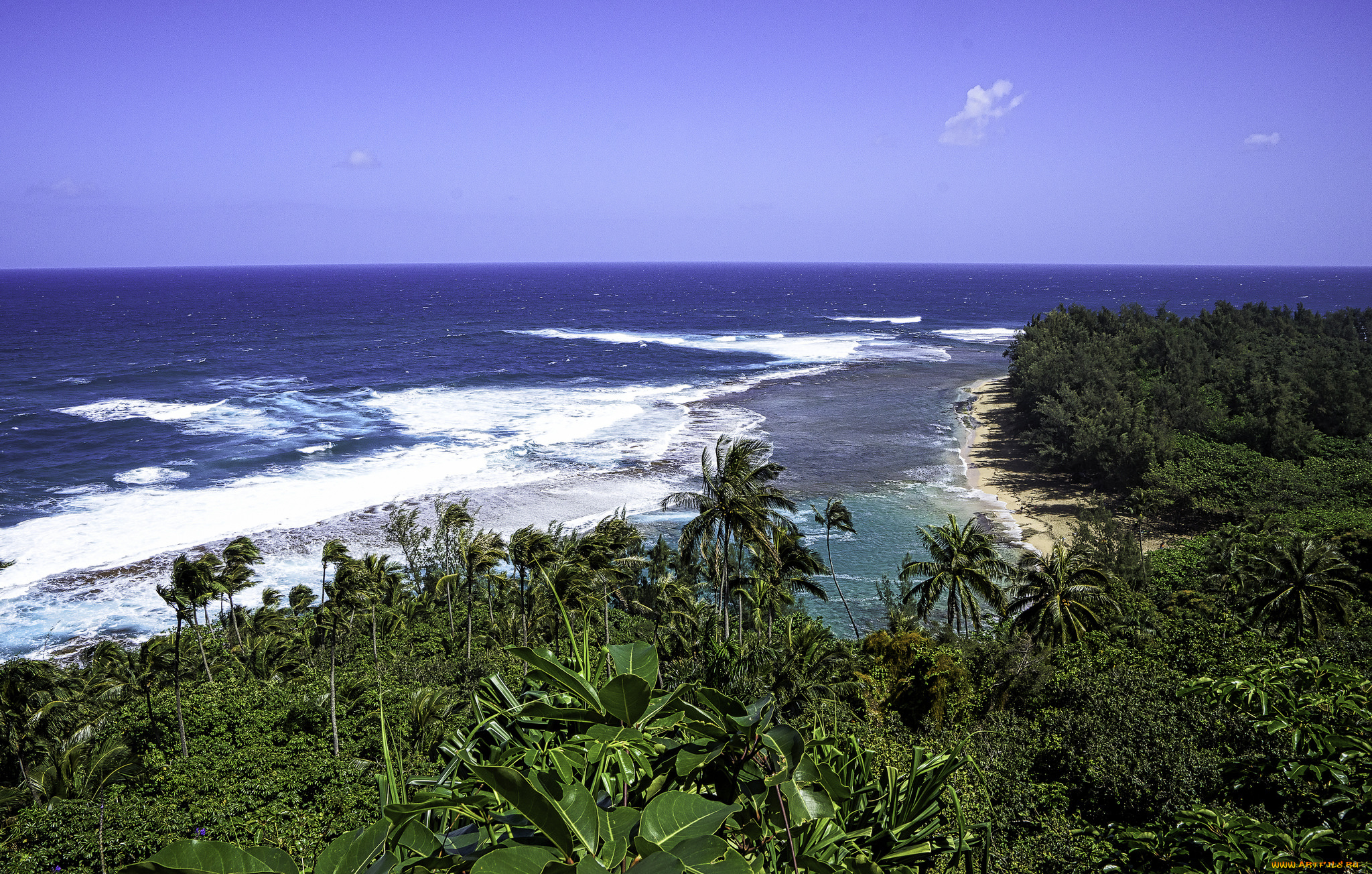 природа, побережье, простор