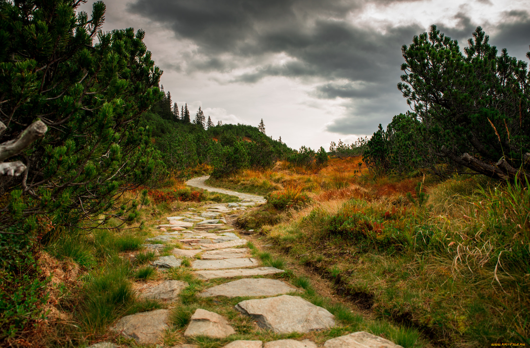 природа, дороги, простор