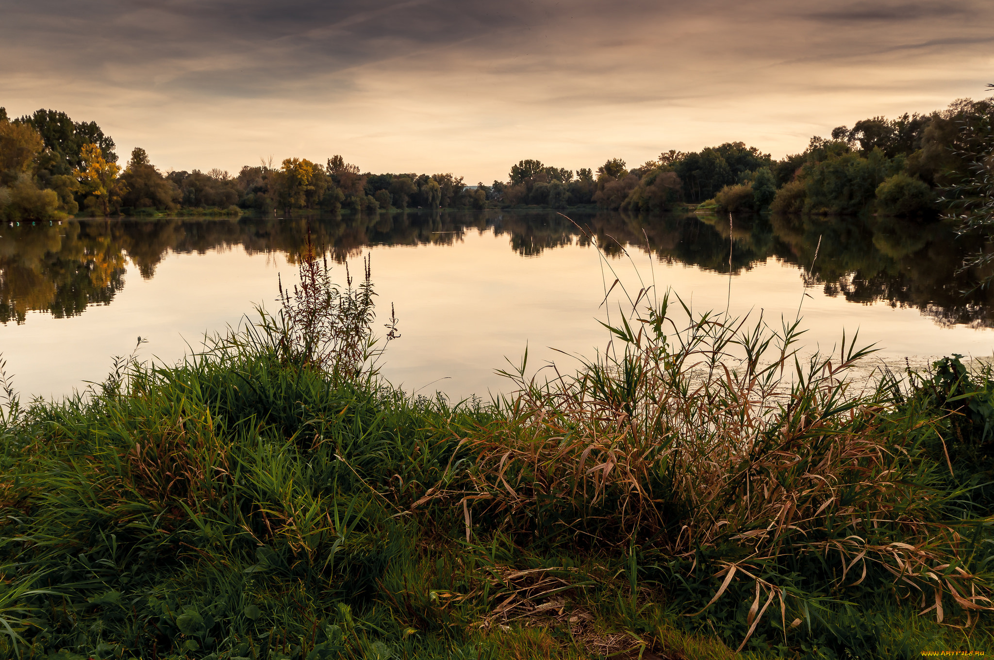 природа, реки, озера, простор