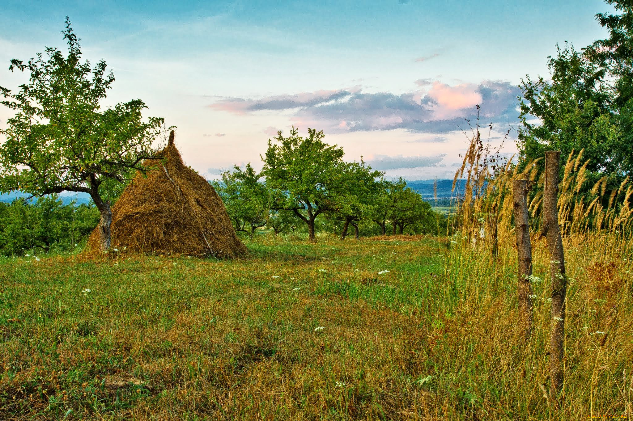 природа, пейзажи, простор