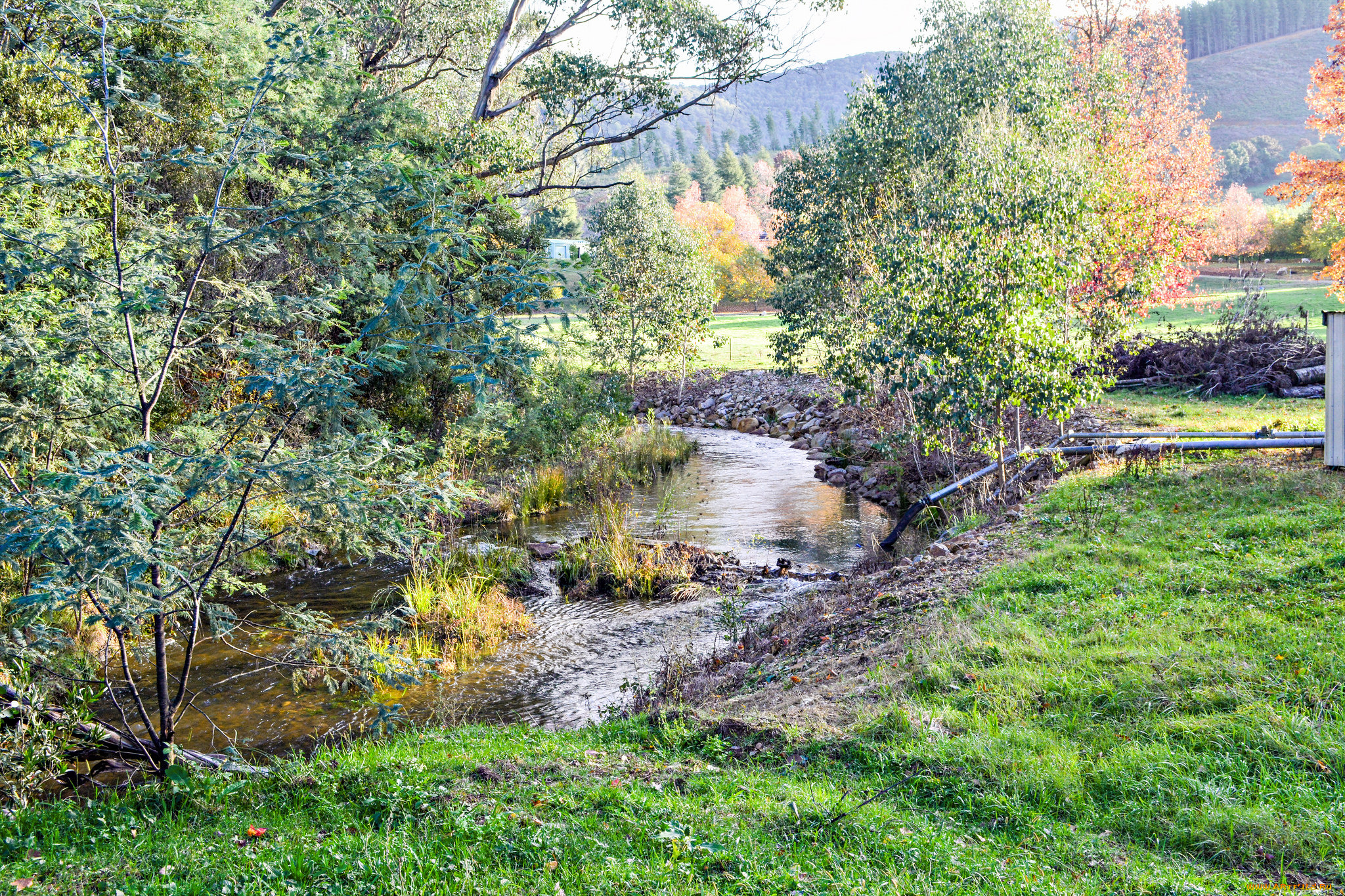 природа, реки, озера, простор