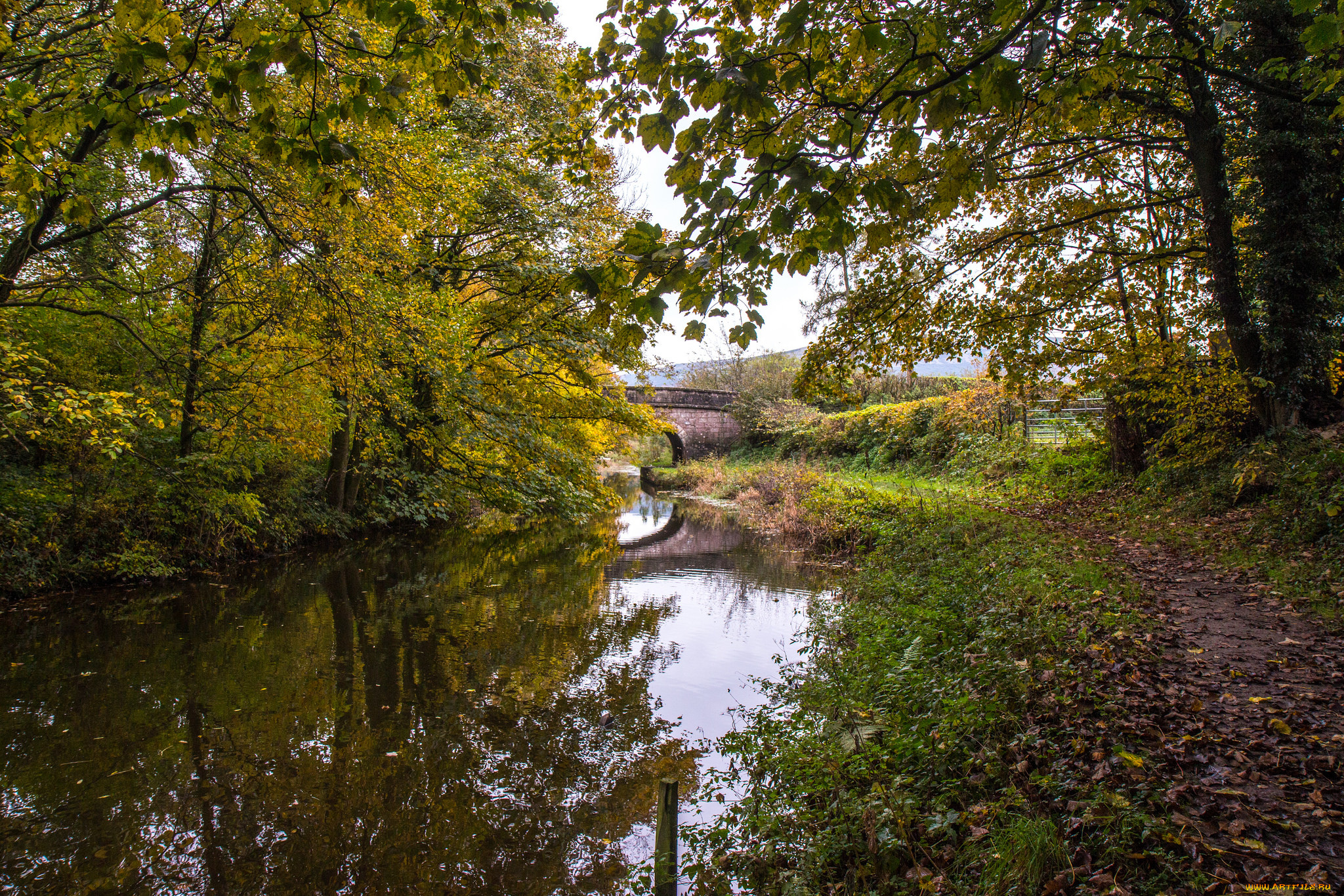 природа, реки, озера, простор