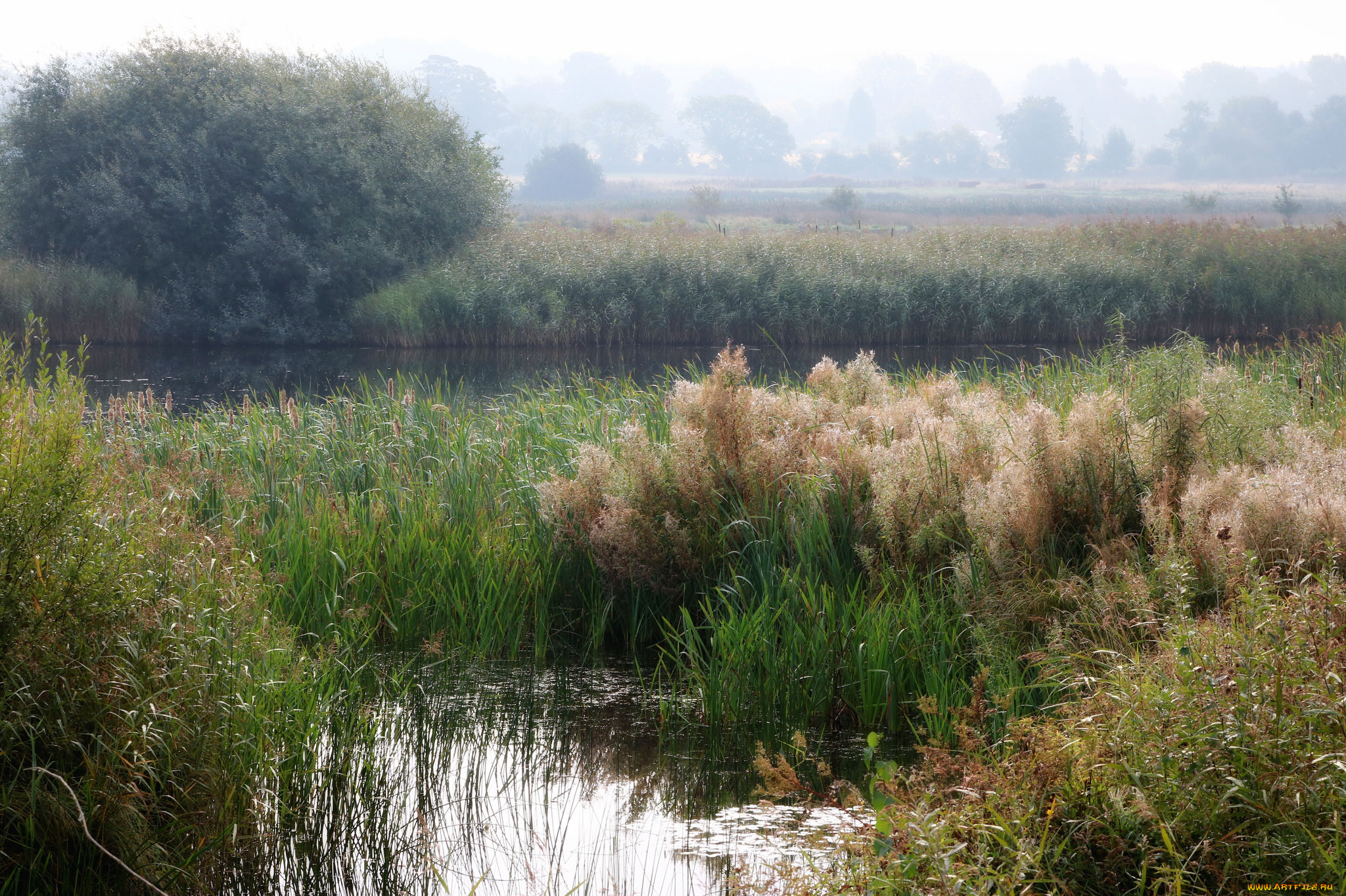 природа, реки, озера, простор