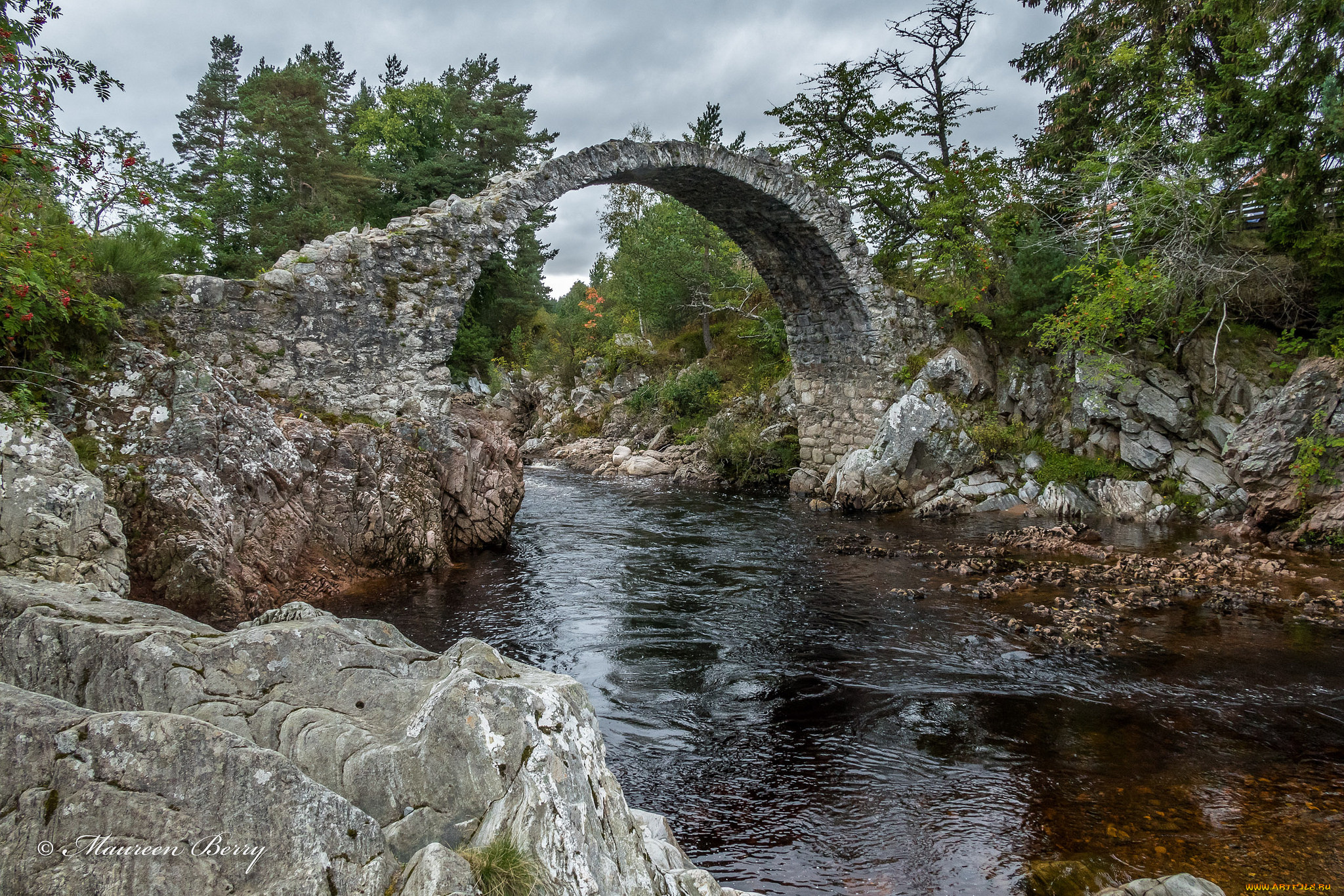 природа, реки, озера, простор