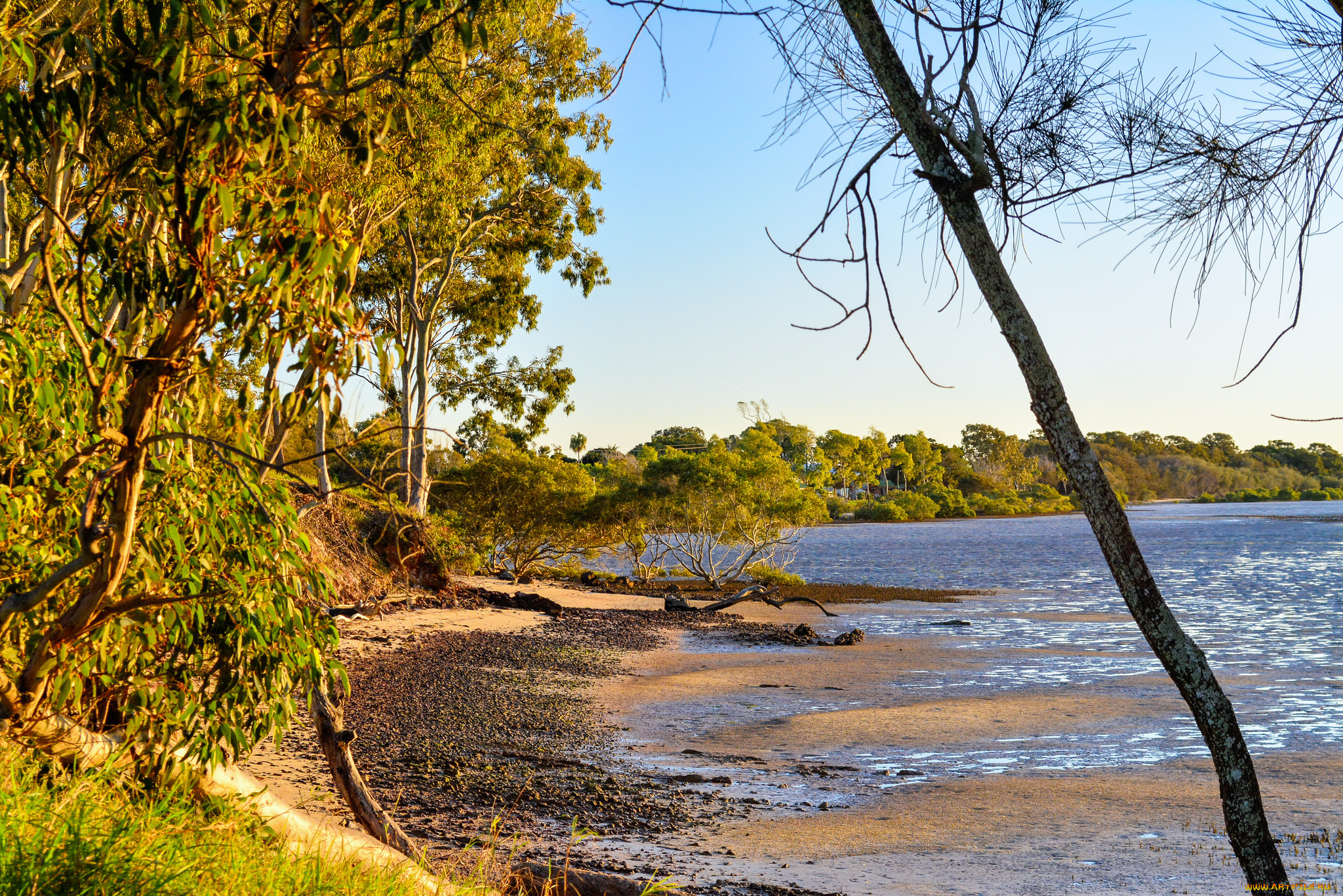 природа, побережье, простор