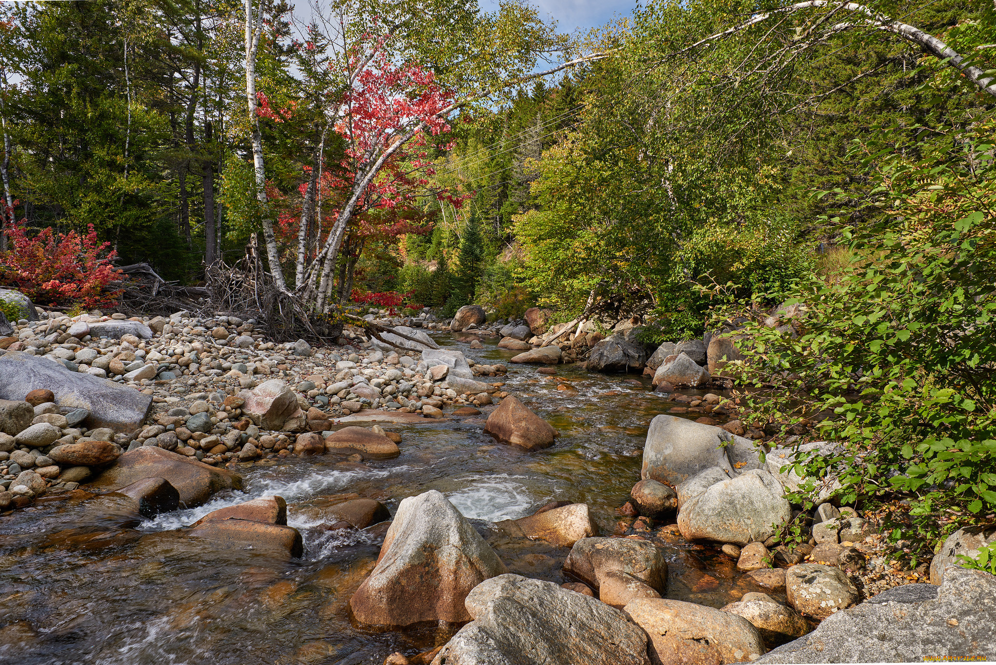 природа, реки, озера, простор