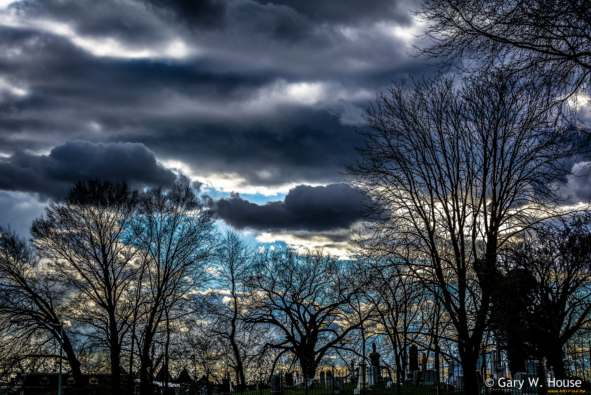 животные, медведи, медведь, вода, брызги