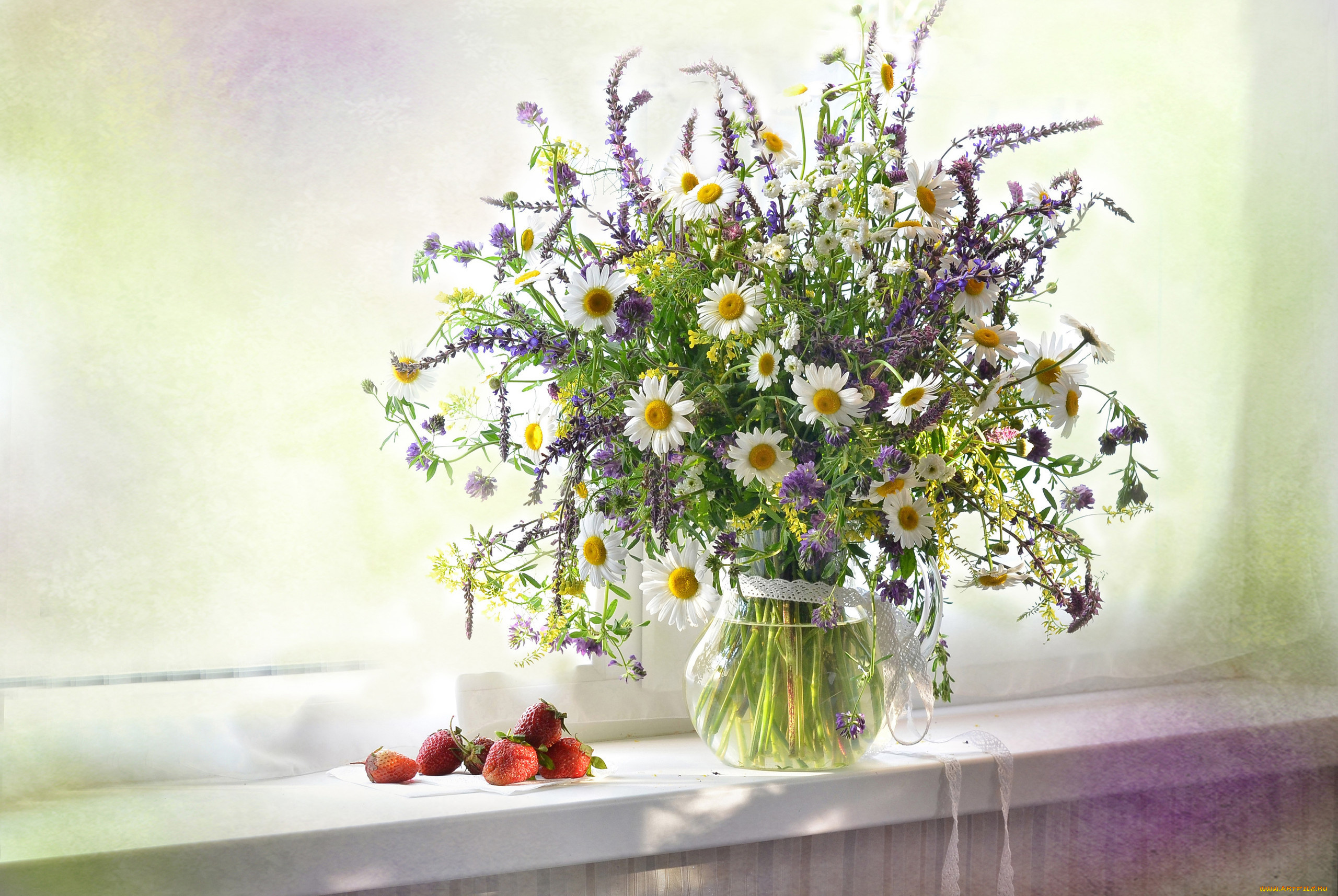 цветы, разные, вместе, кувшин, окно, лето, клубника, ягоды, ромашки