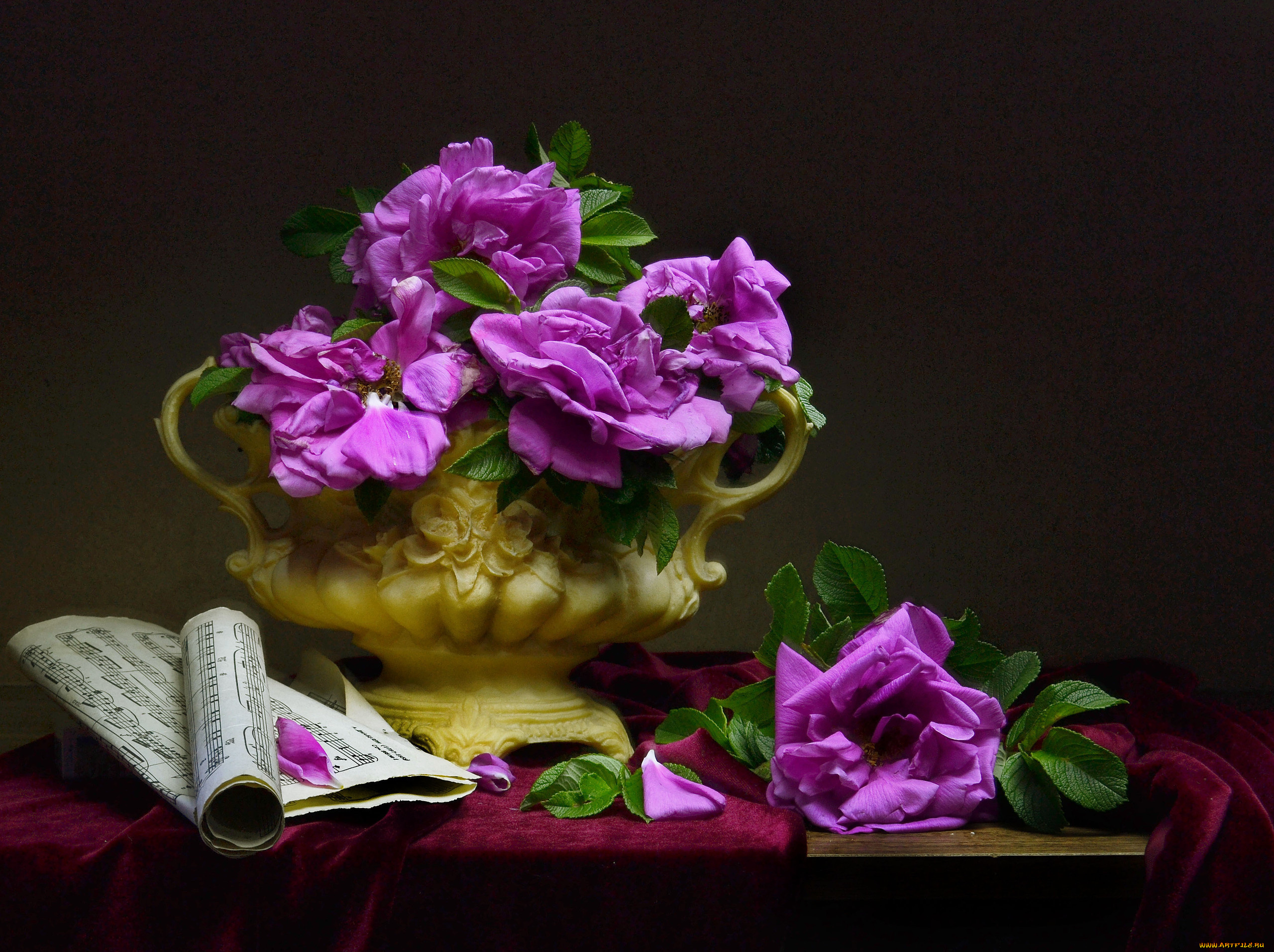 цветы, розы, ноты, ткань, ветки, шиповник, ваза