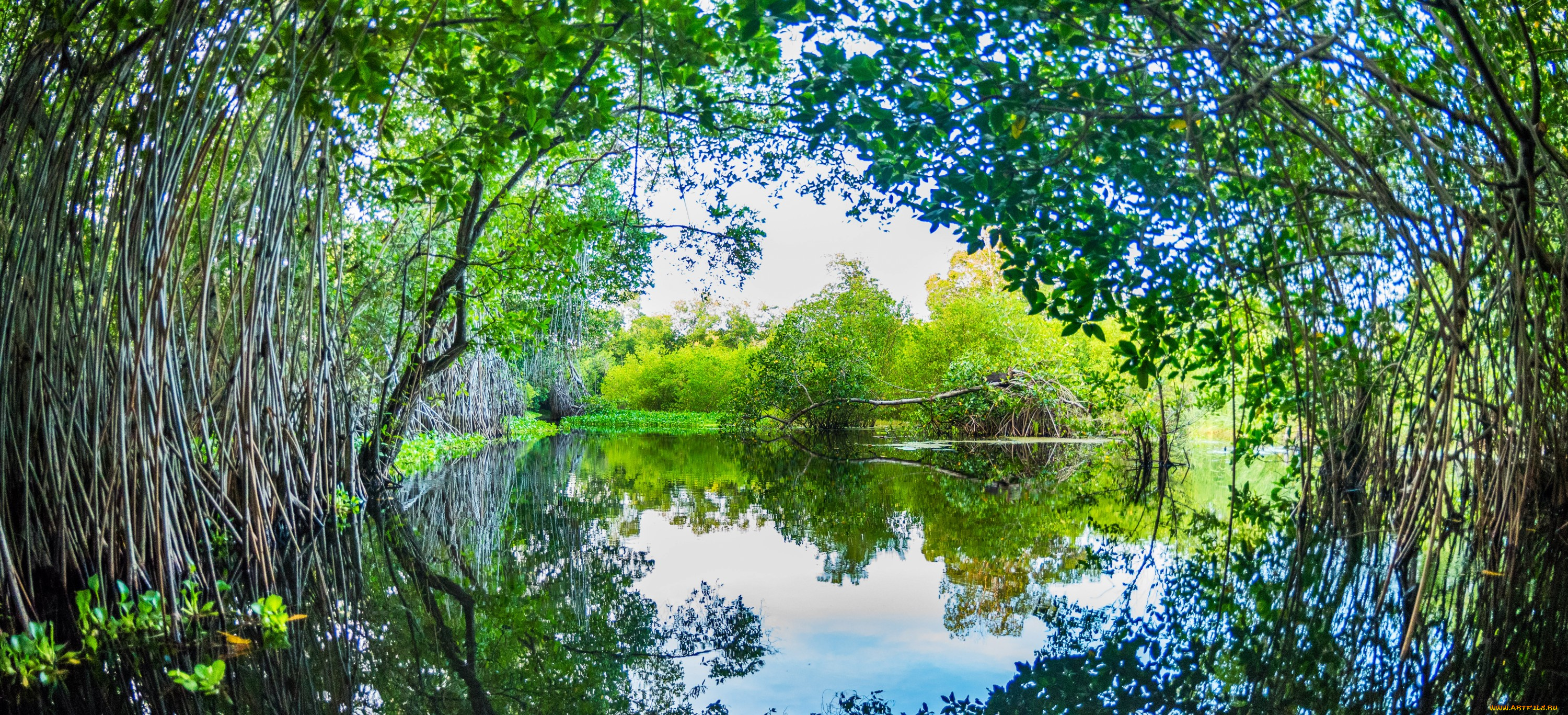 природа, реки, озера, простор