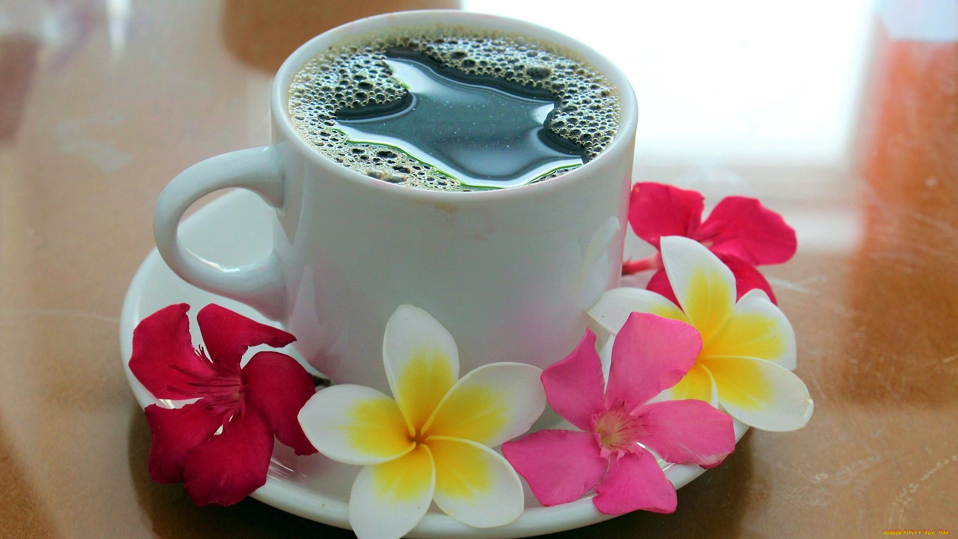 еда, кофе, , кофейные, зёрна, плюмерия, чашка