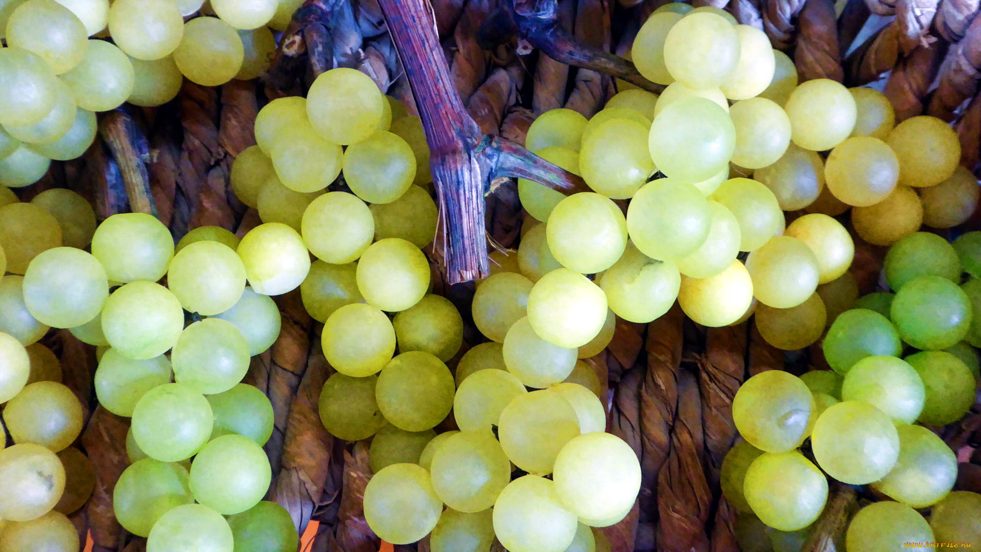 еда, виноград, ягоды