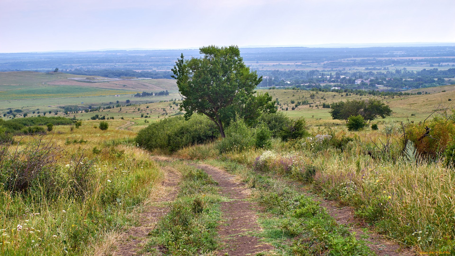 природа, дороги, простор