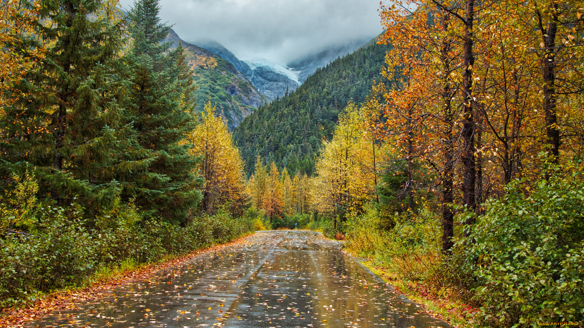 природа, дороги, простор