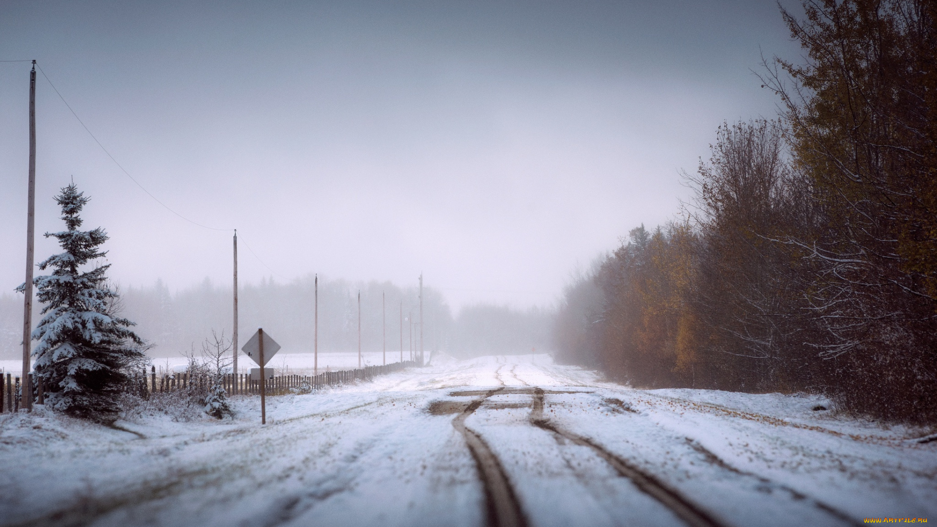 природа, дороги, зима, дорога, снег