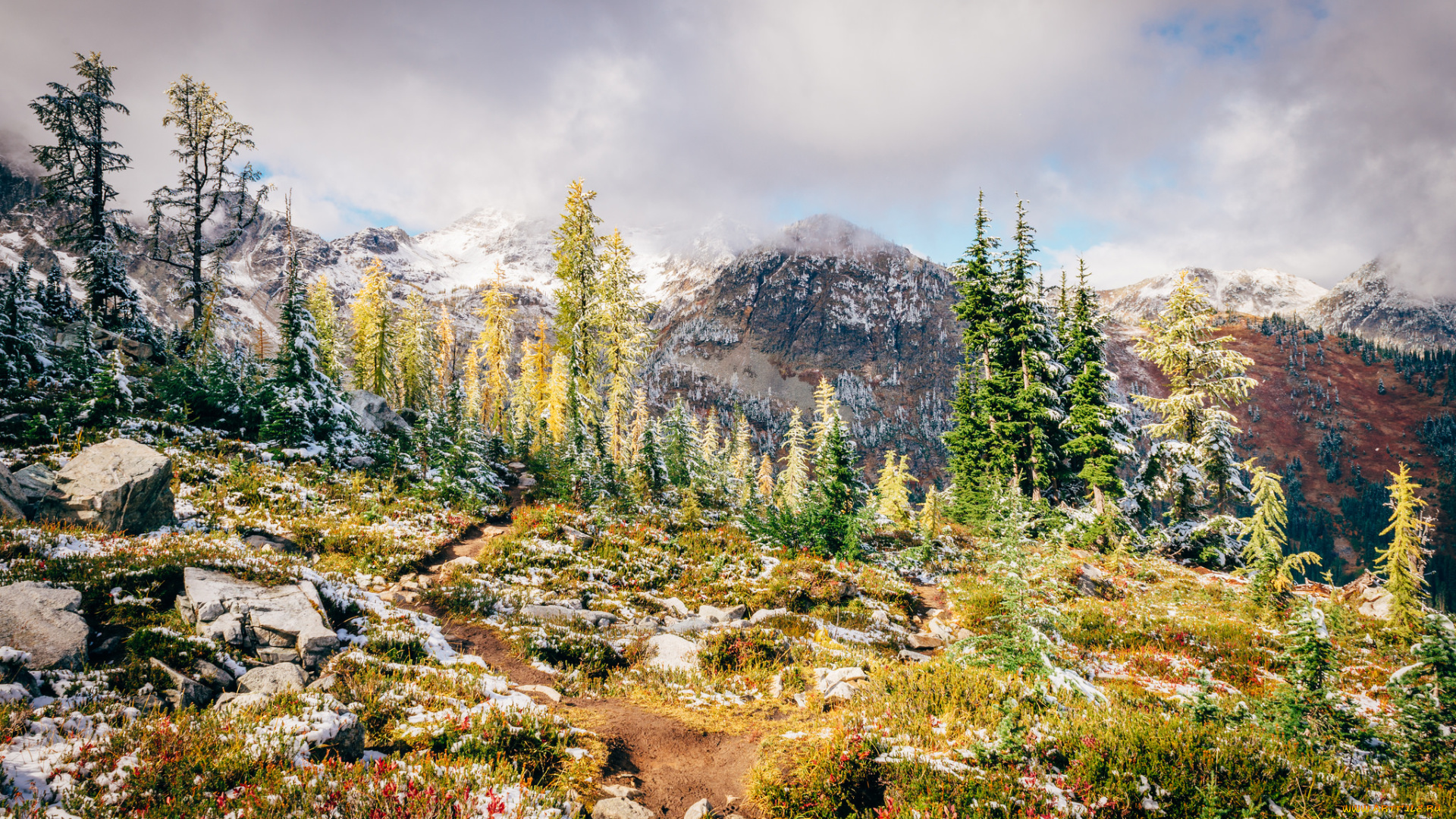 природа, горы, простор