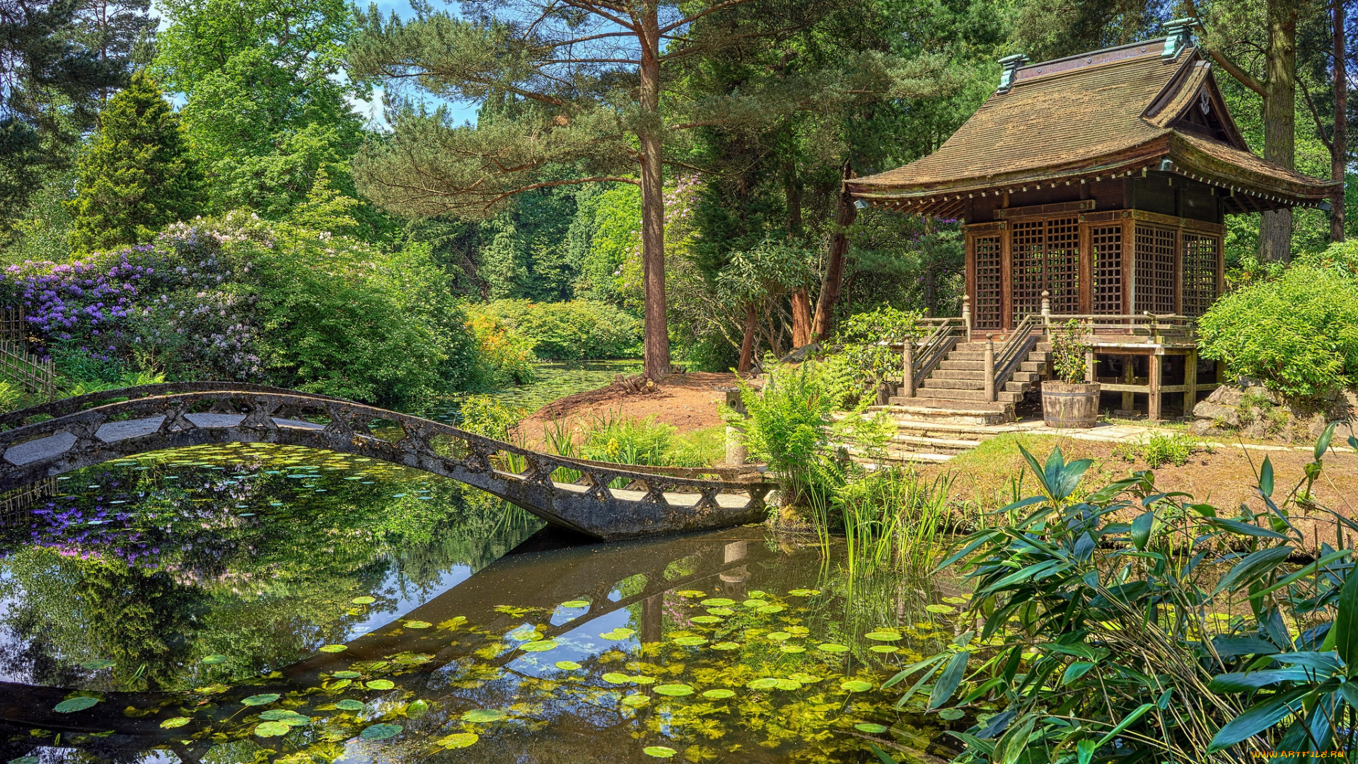 природа, парк, простор