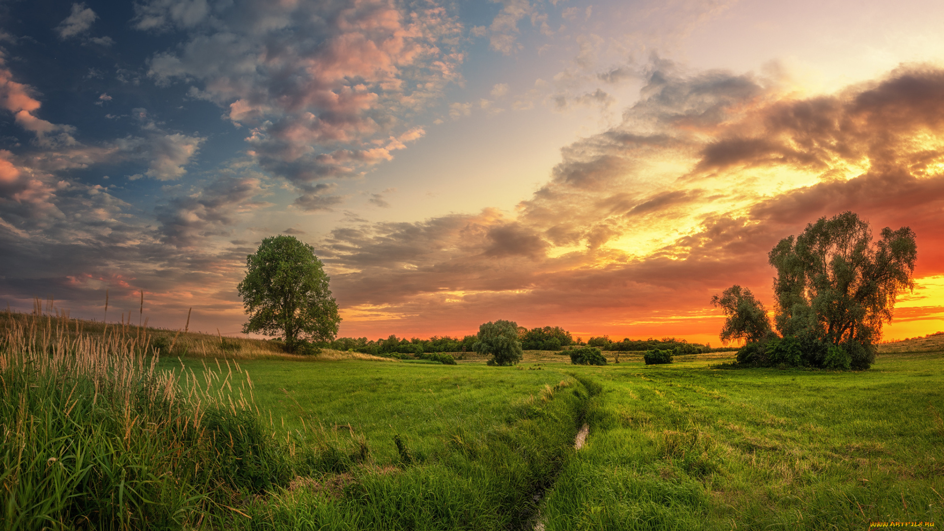 природа, пейзажи, простор