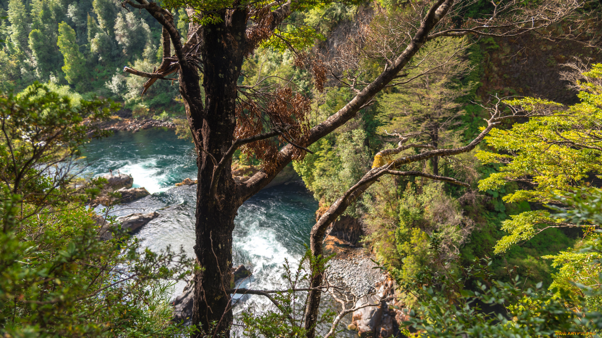 природа, реки, озера, простор